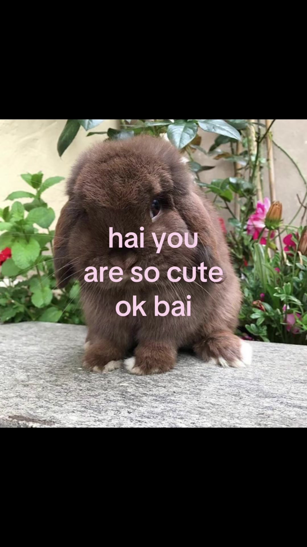 @rwnd