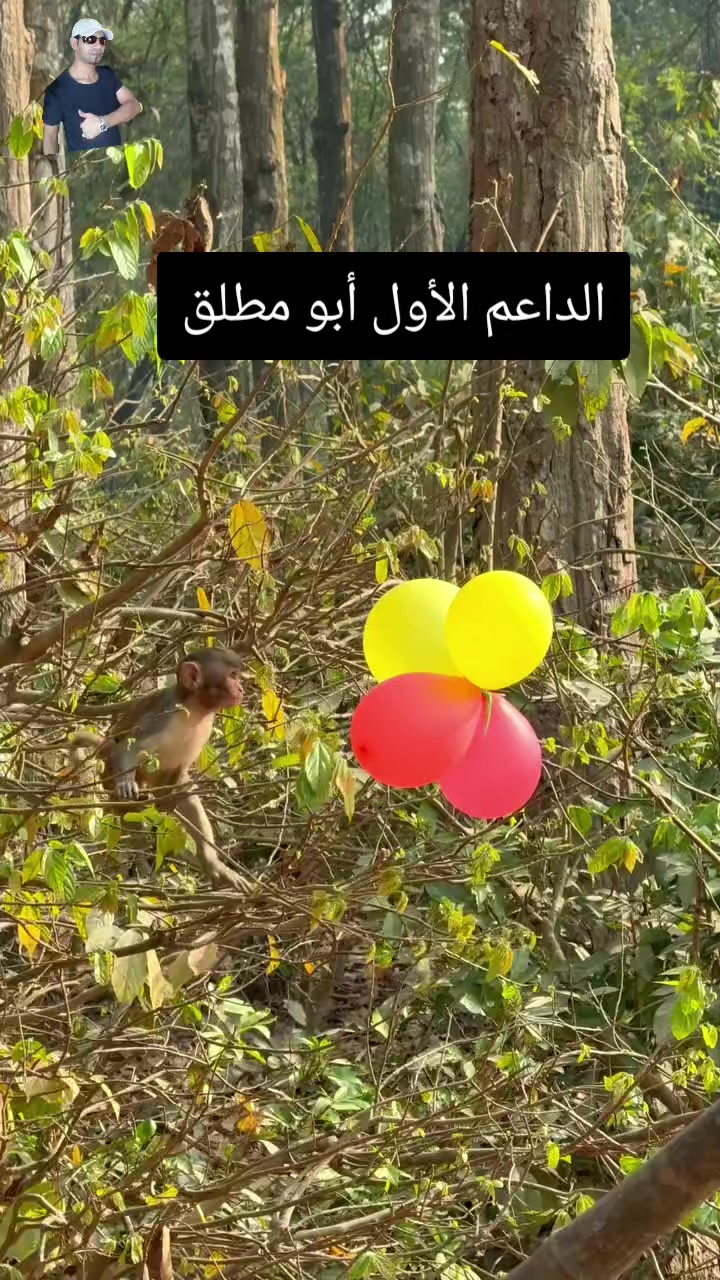 @رشيد ريكو 🇲🇦 🇸🇦