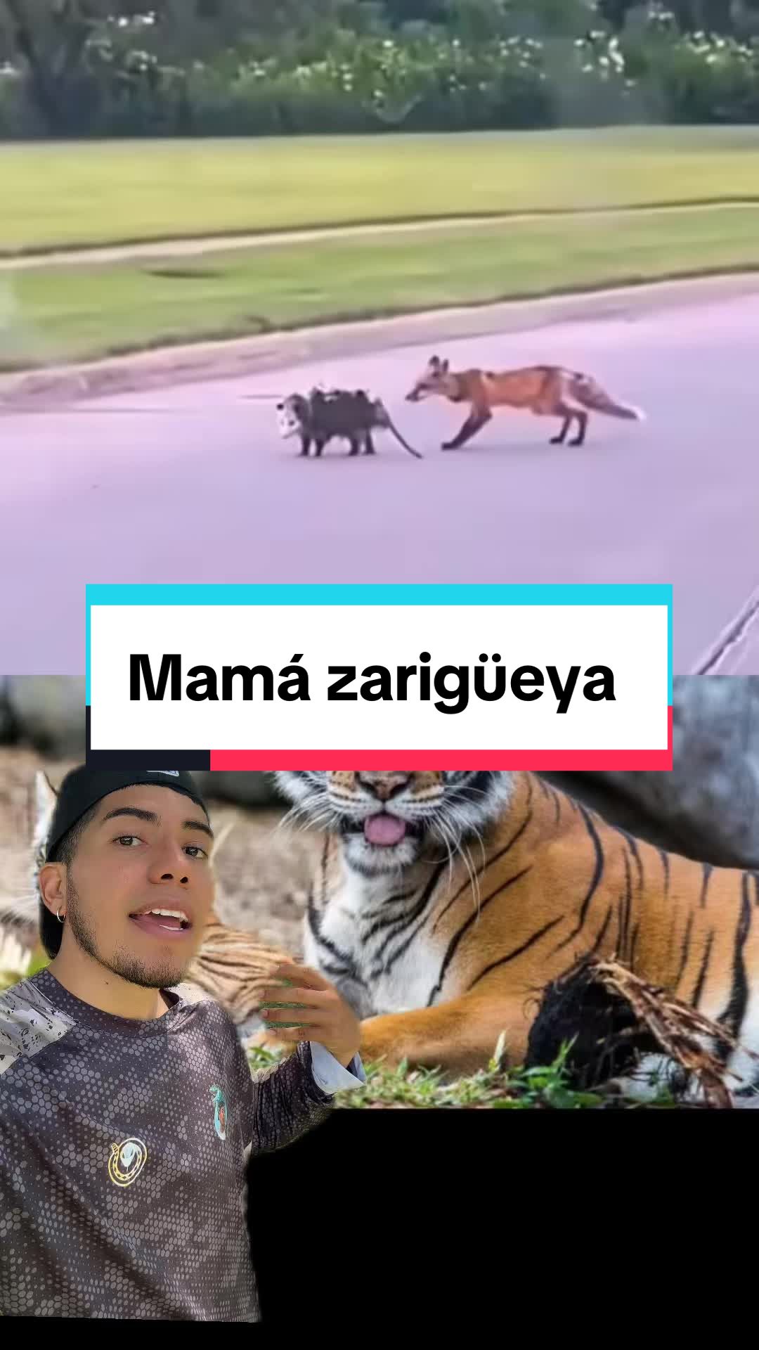 @Soy Sebassalvaje (dúos)