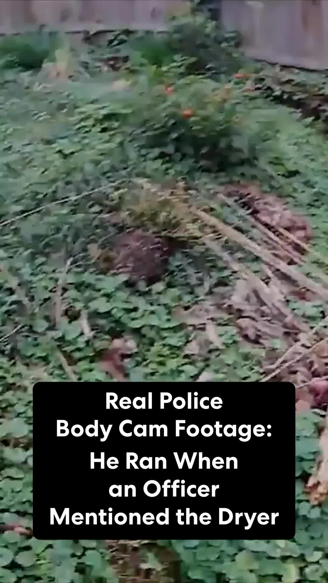 @ID