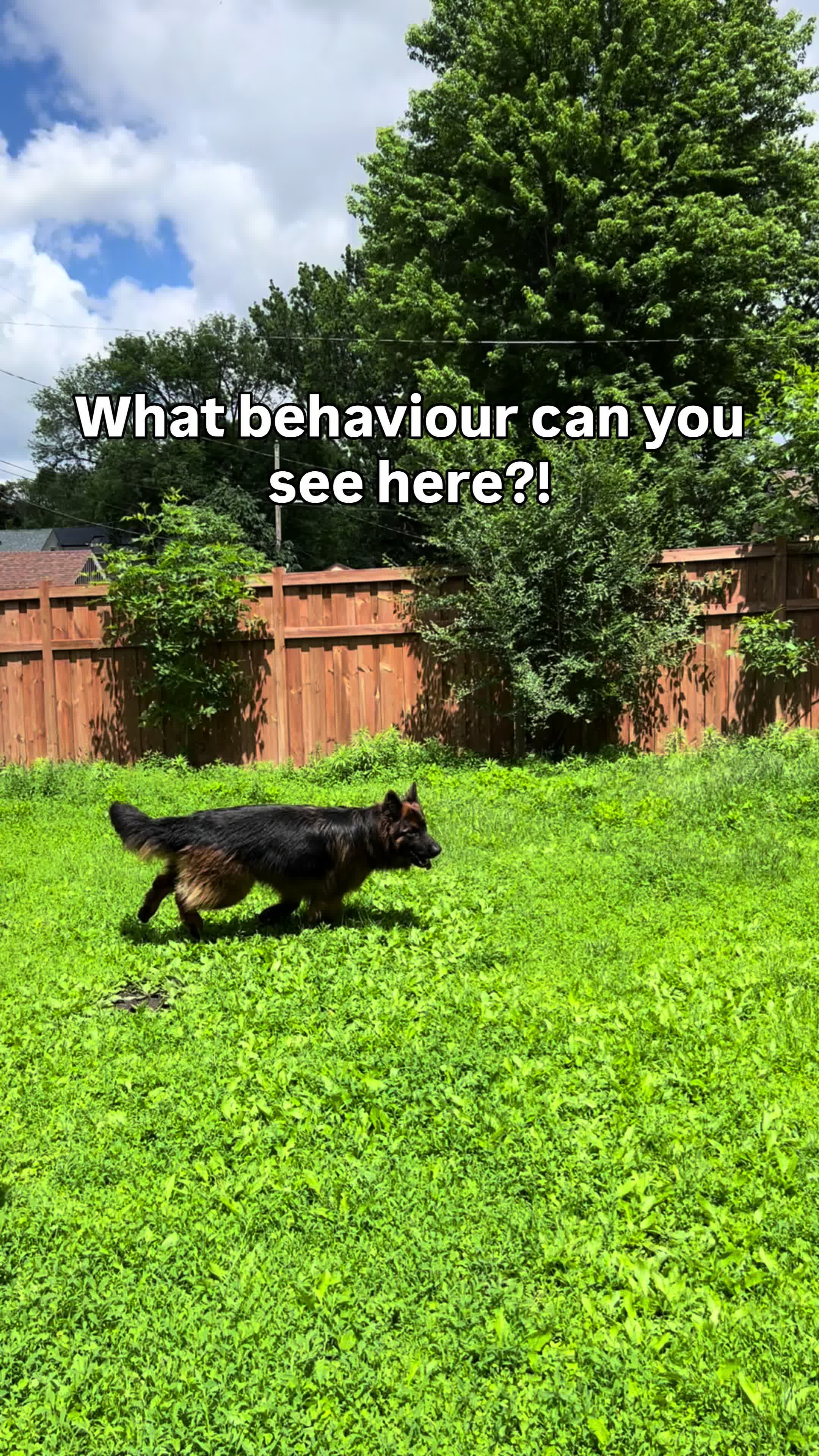 @CherryHoggs