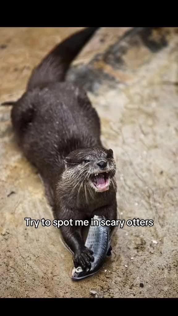 @CVTC