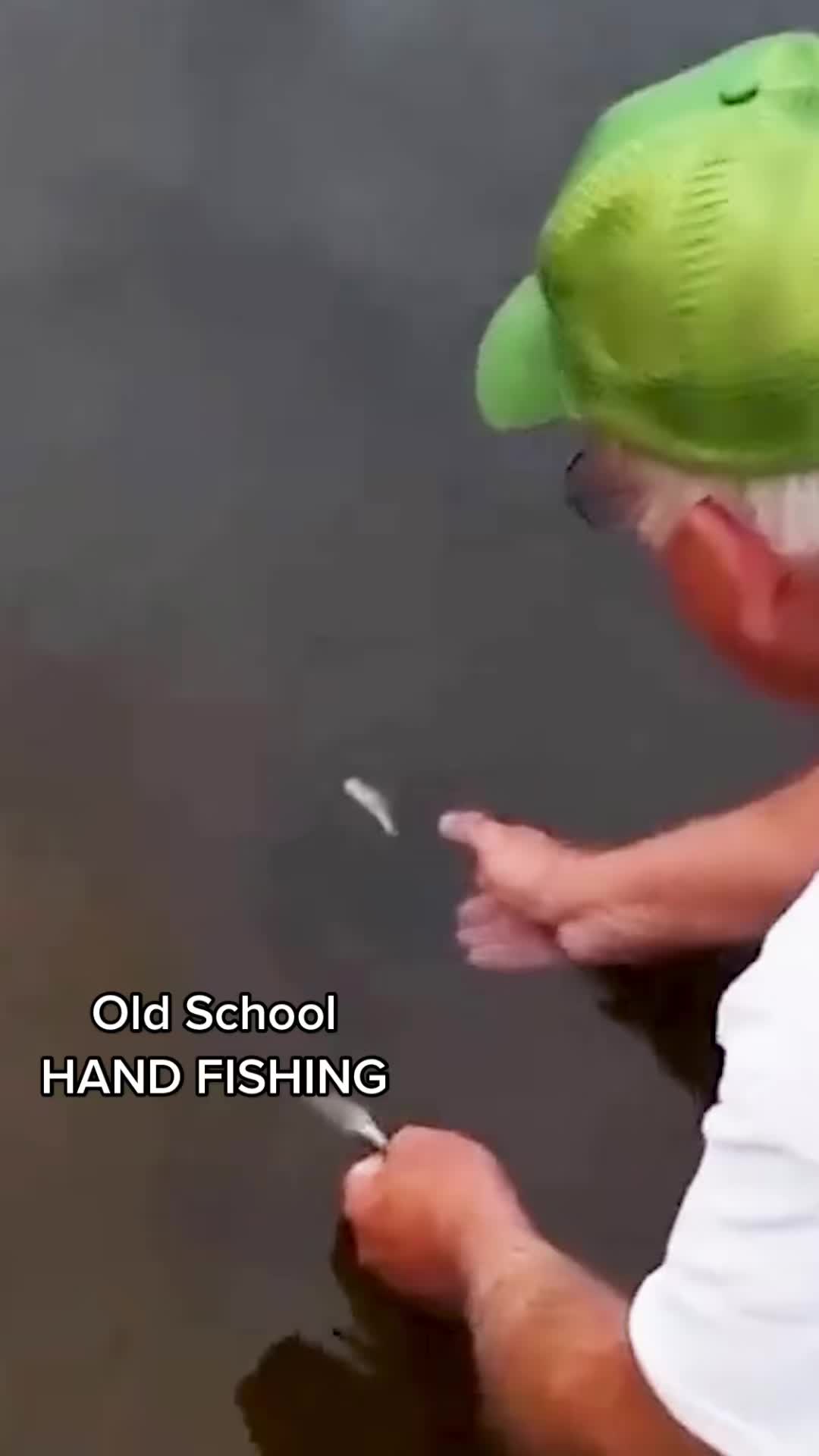 @Lunkerville