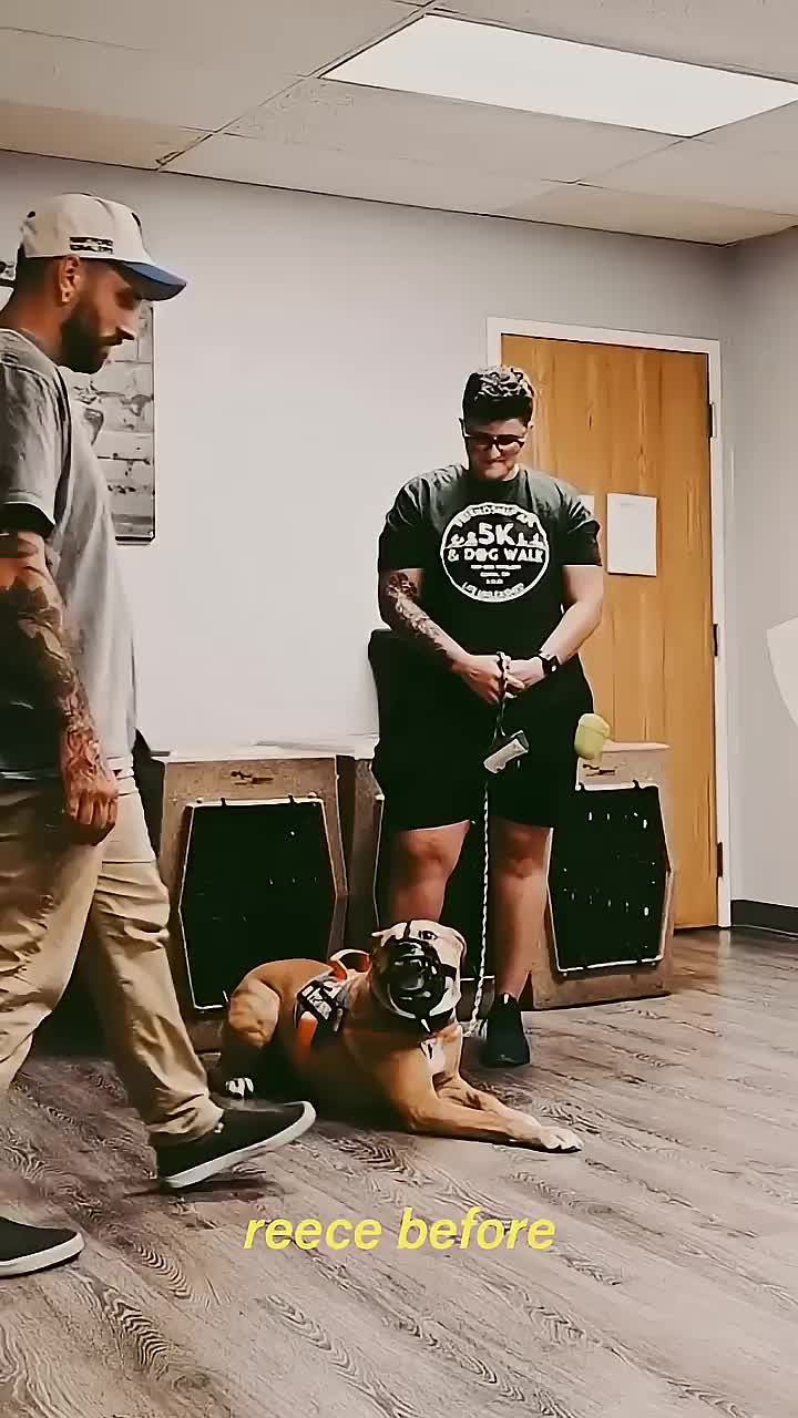 @Miracle K9 Training