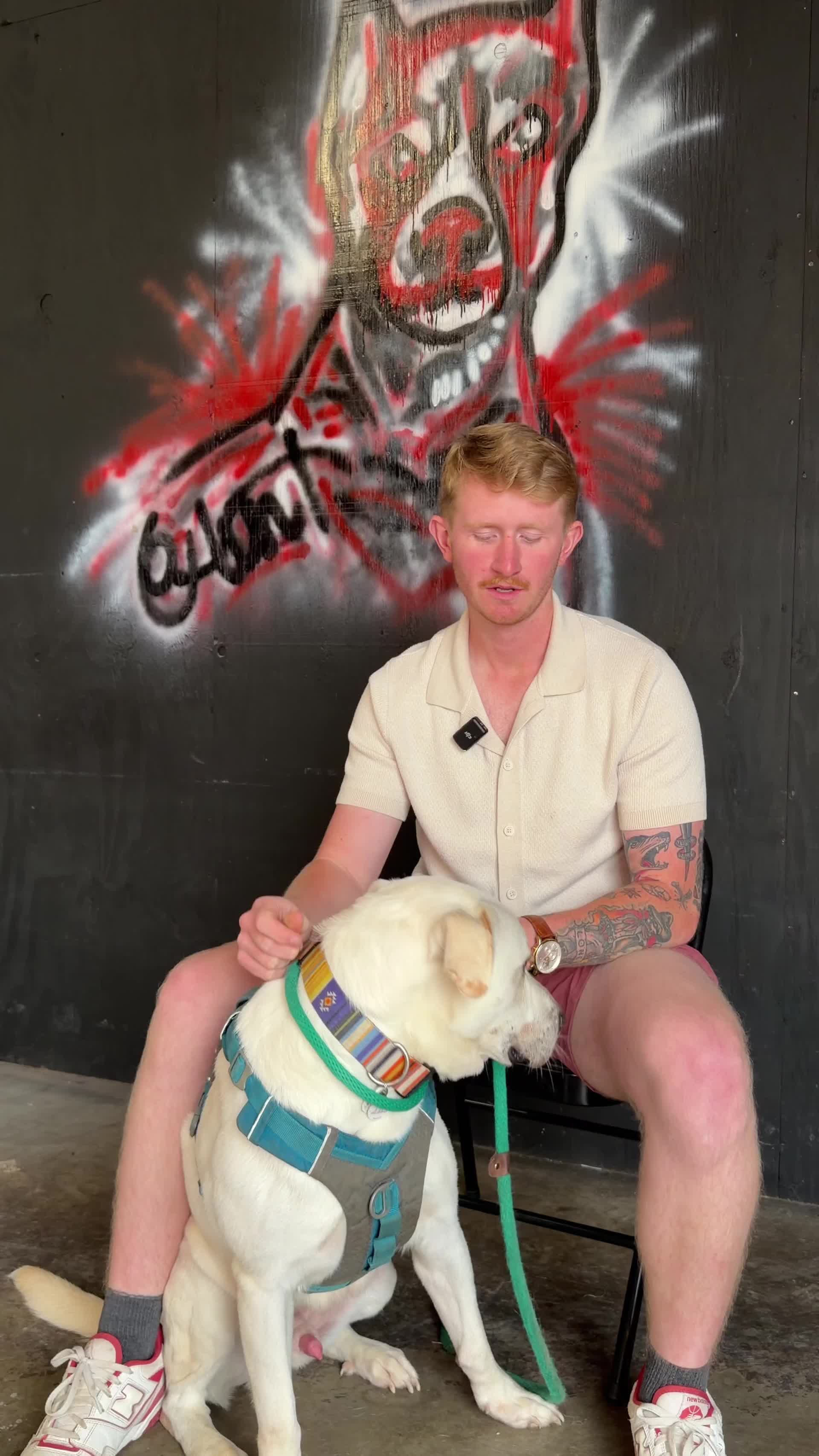 @Sentinel K9 | Dog Training