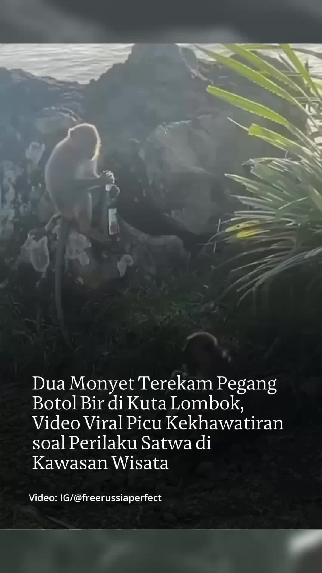 @mongabayindonesia