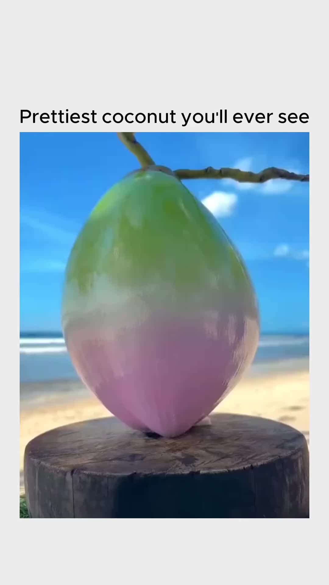 @dillonmavrich