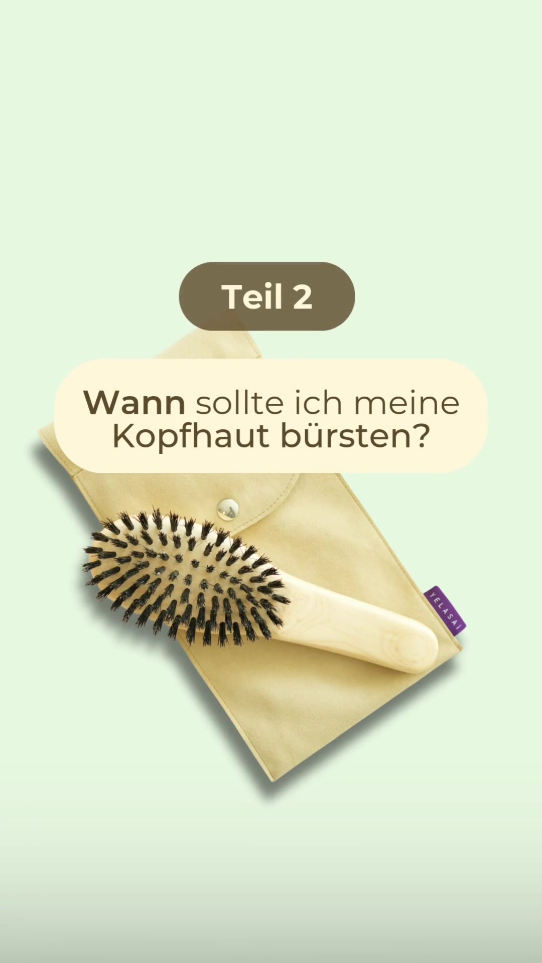 @Salon Fischer
