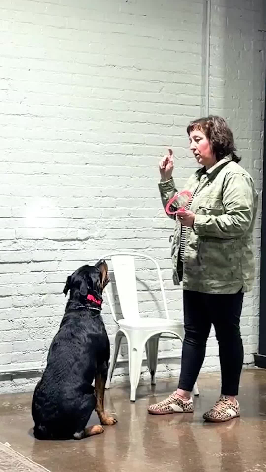 @Miracle K9 Training