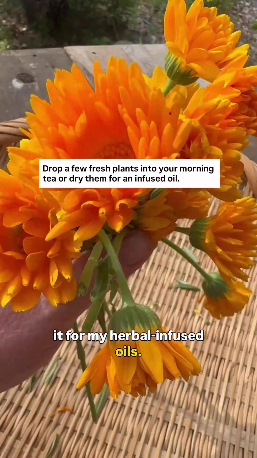 @Herbalist since 1988