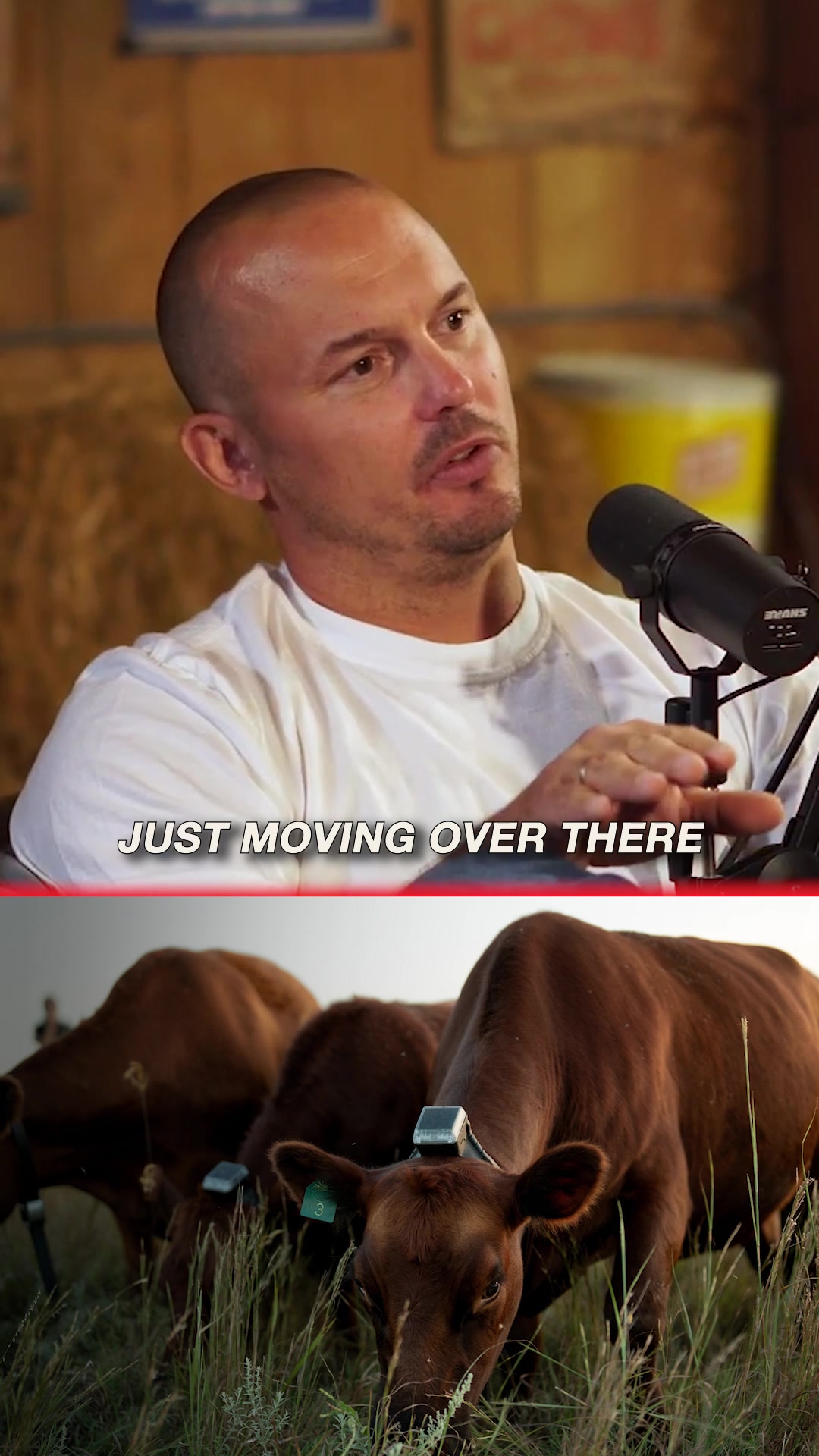 @Barn Talk
