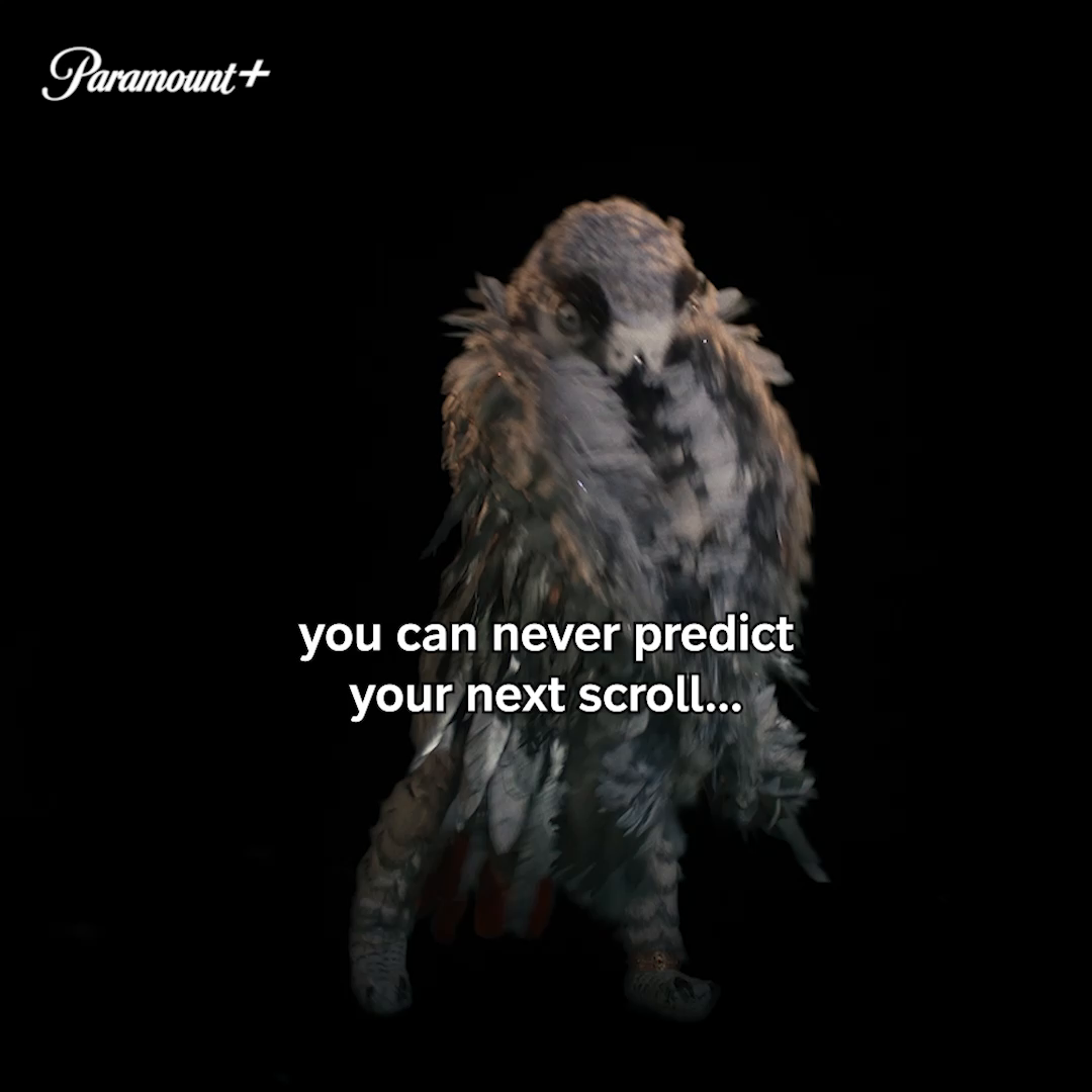 @Paramount+ UK & Ireland