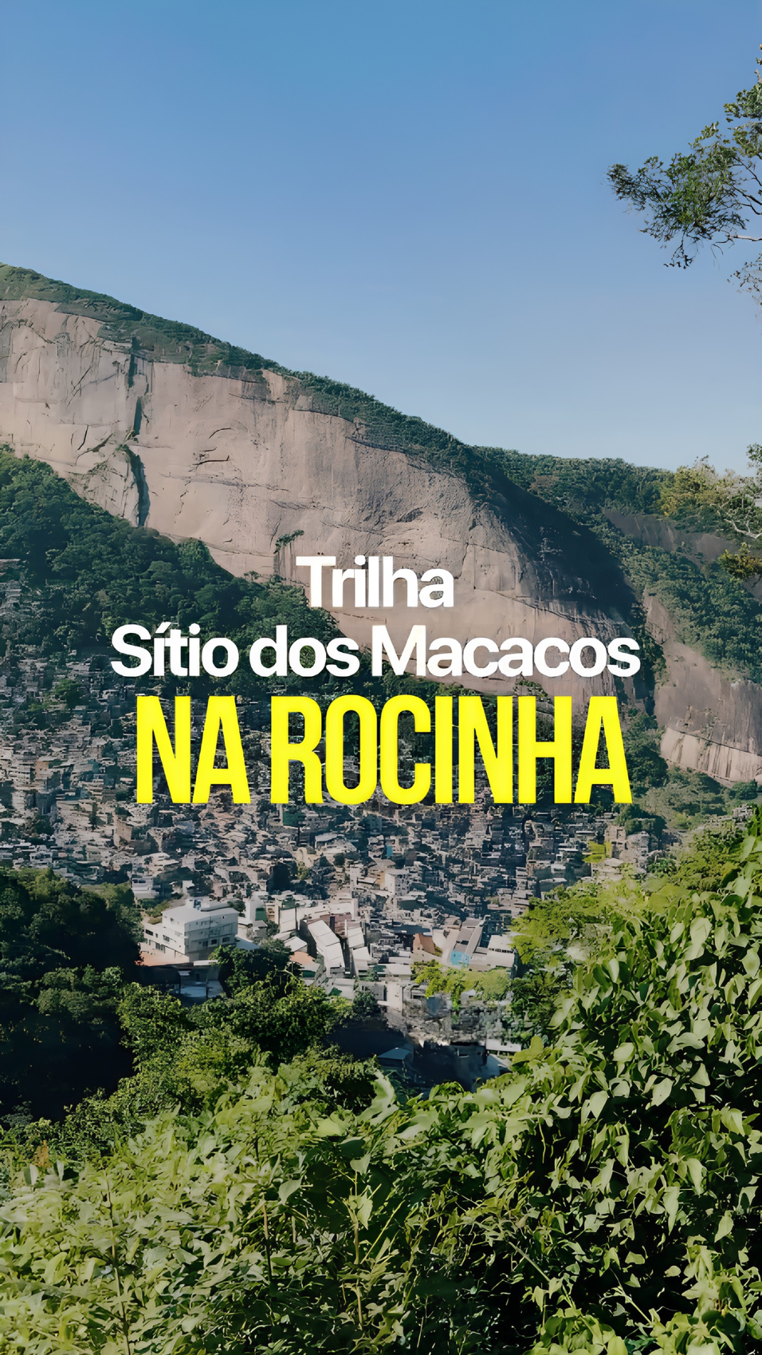@Nossa UOL