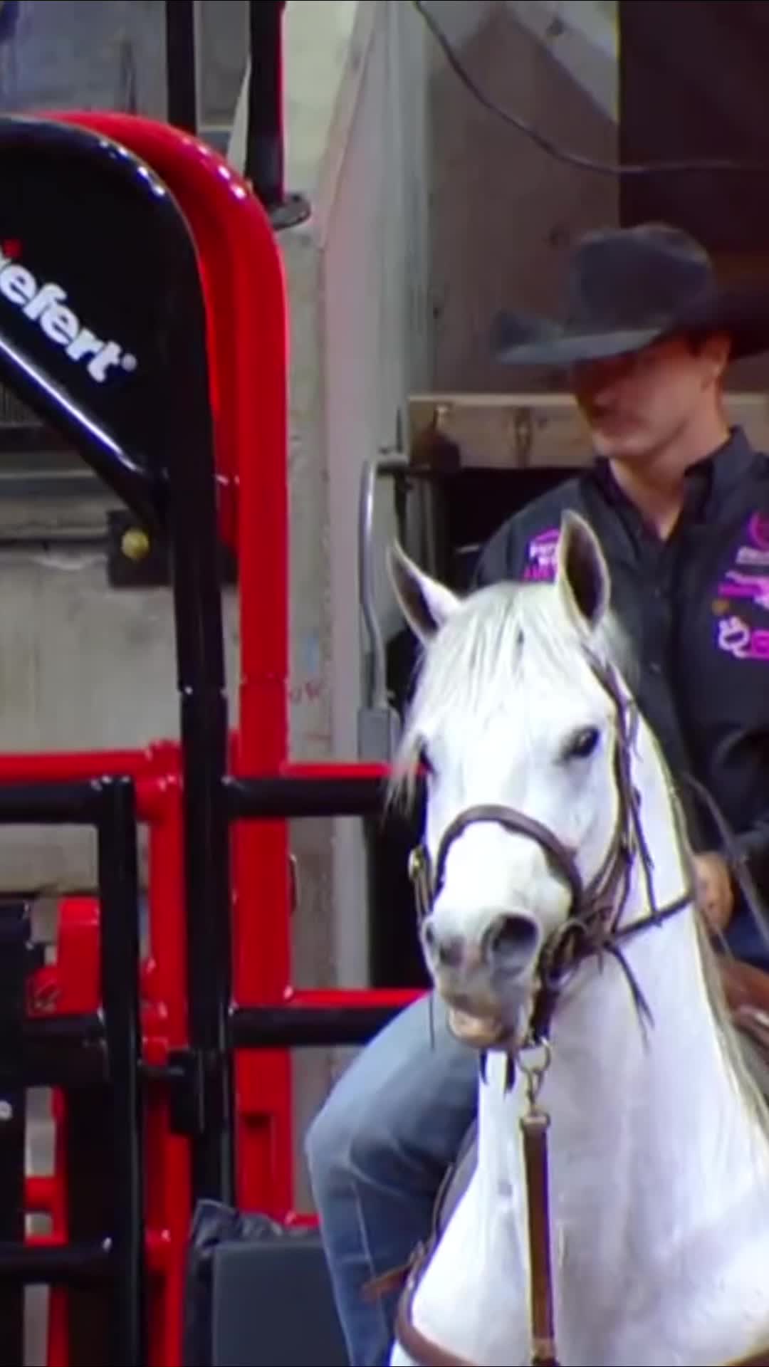 @San Antonio Rodeo