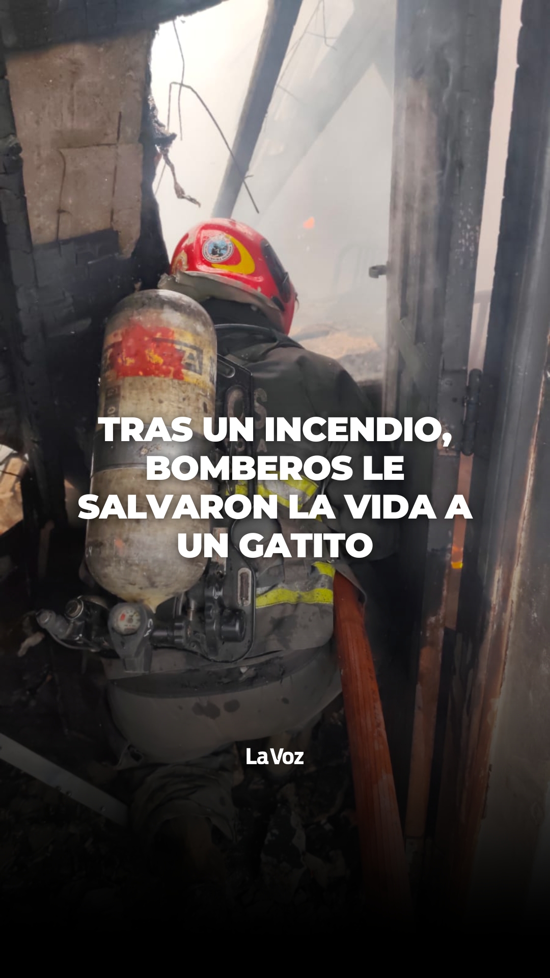 @lavozcomar