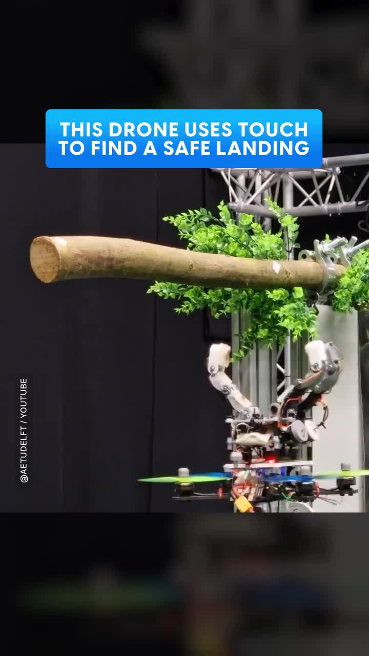 @Digital Trends