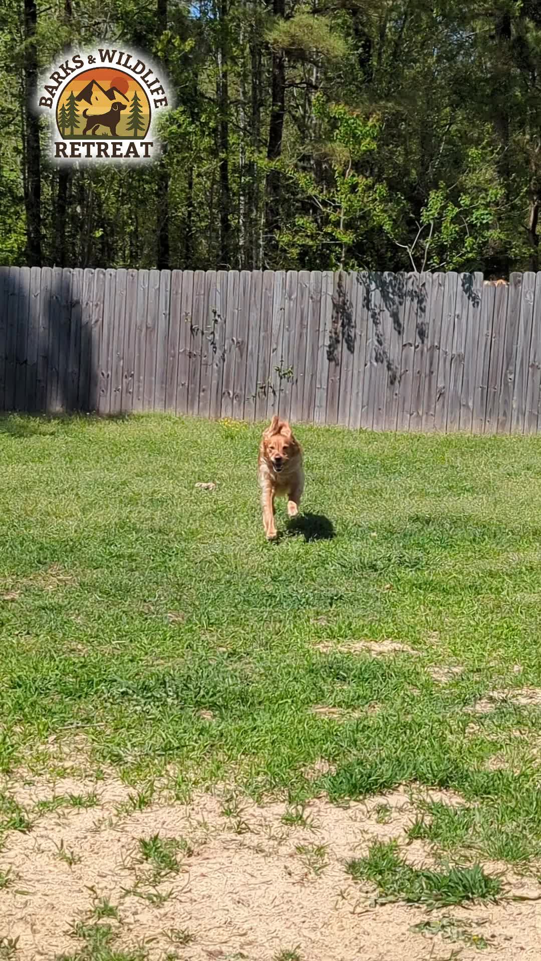 @Barks & Wildlife Longville LA