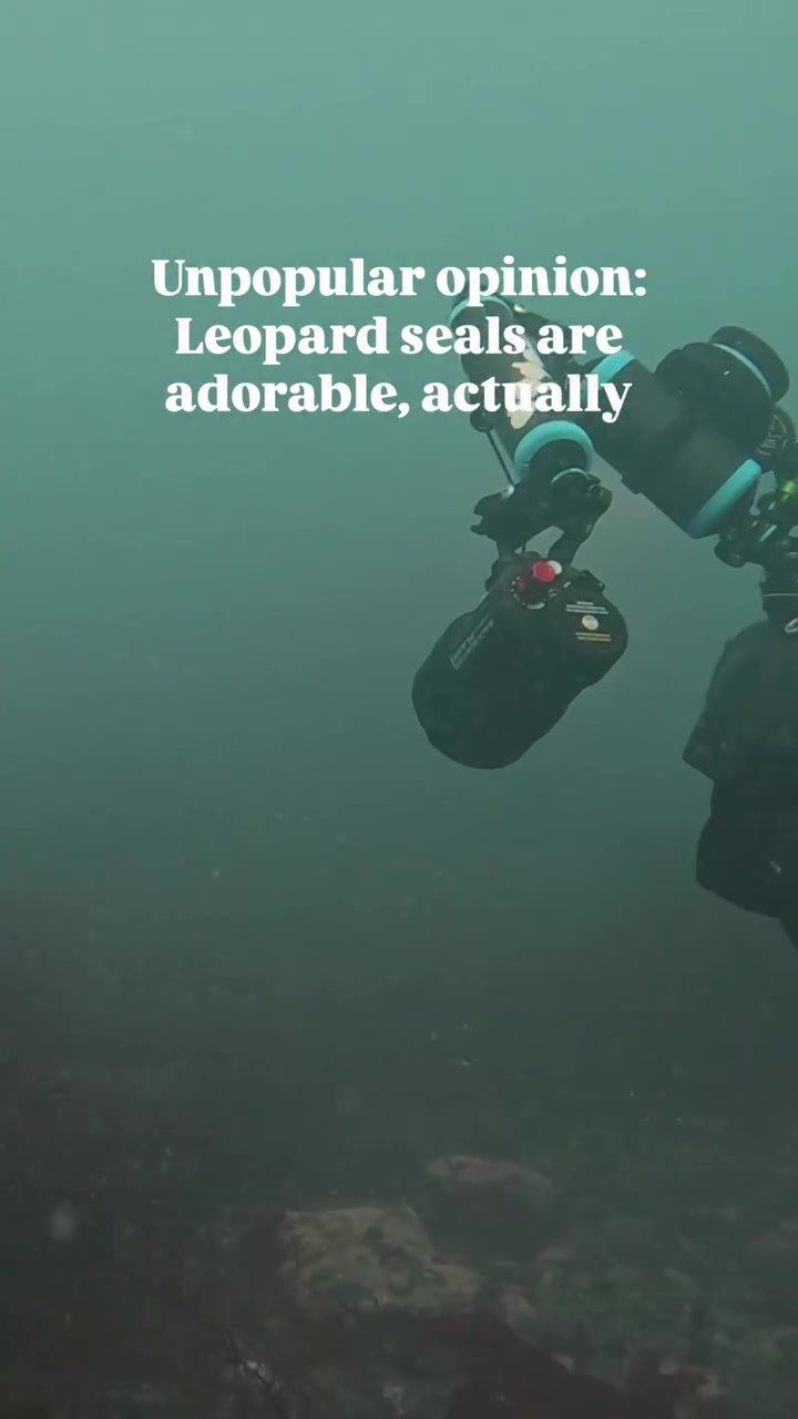 @SCUBAPRO