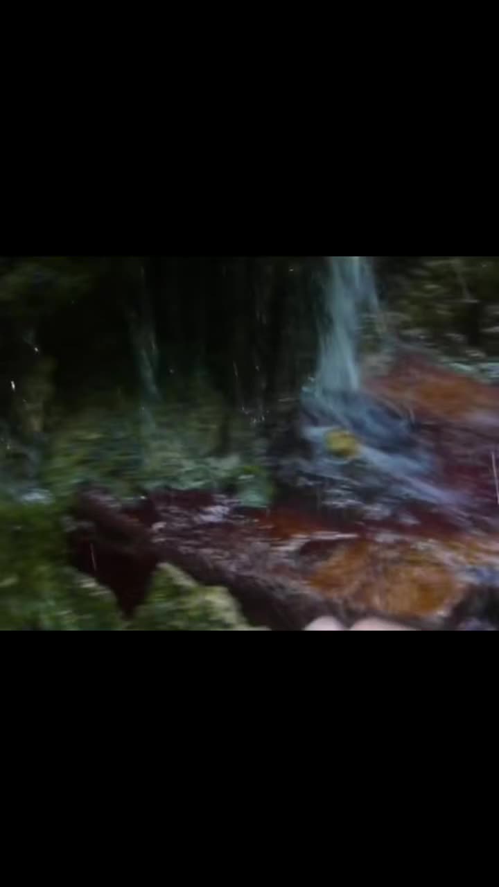 @digicamvids