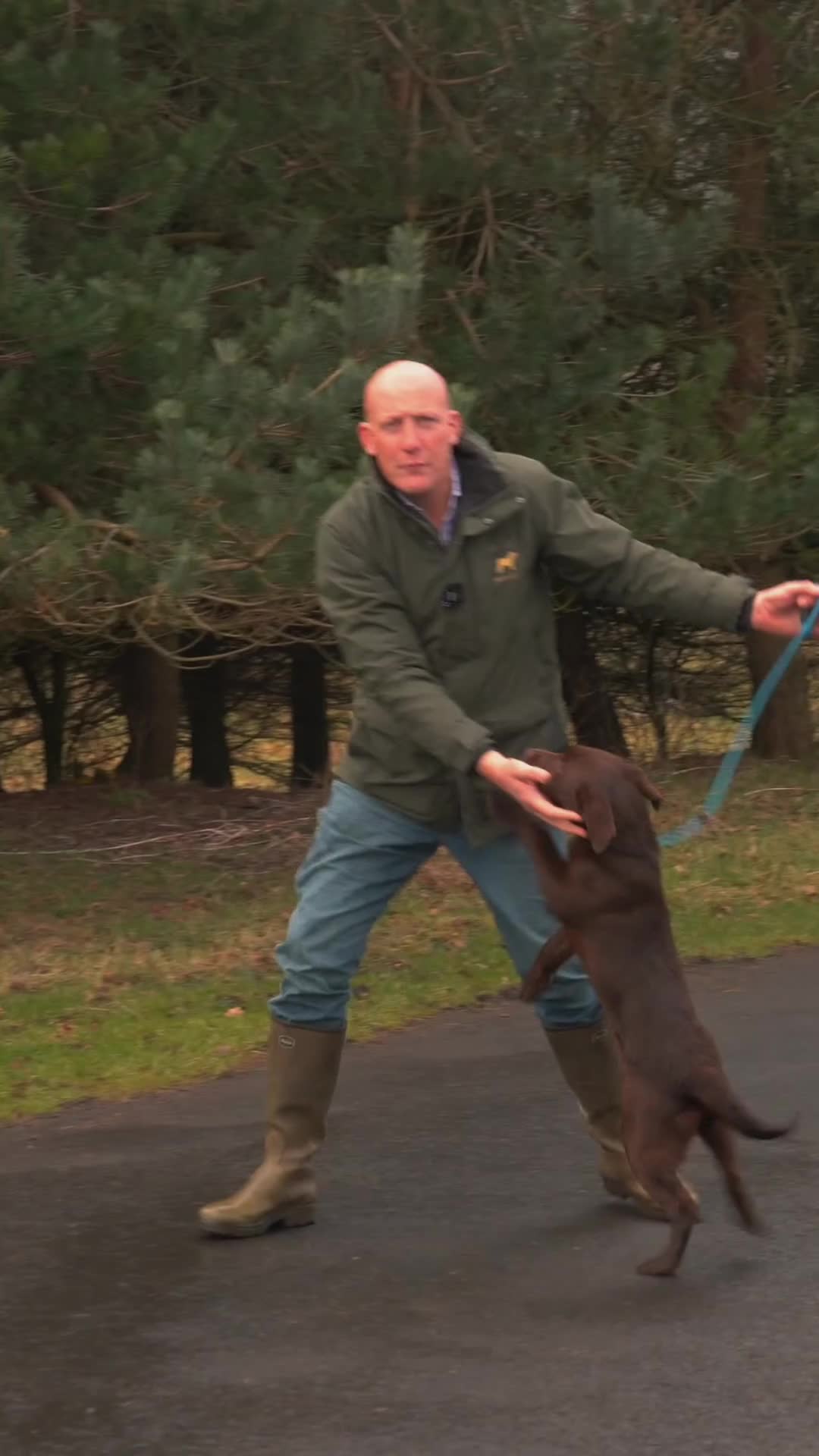 @Mordor Gundogs