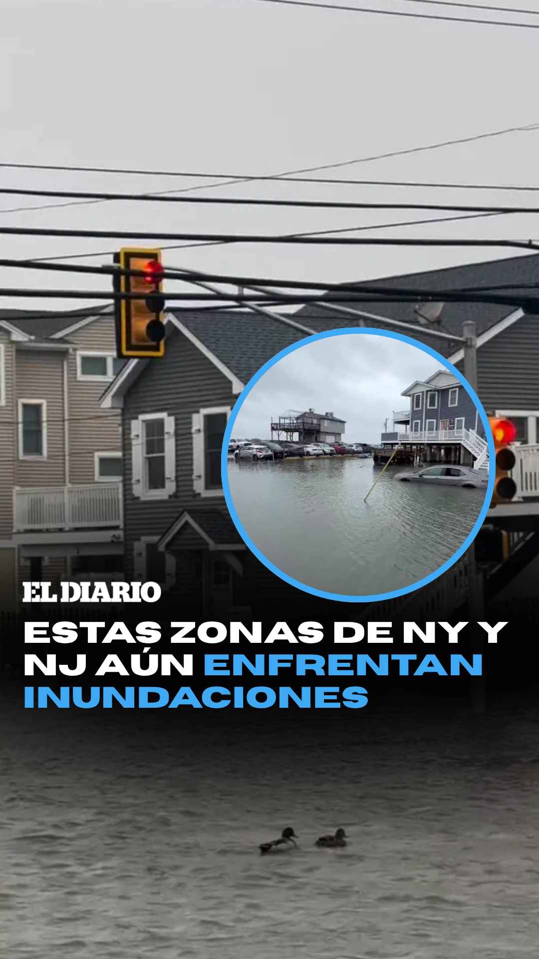 @eldiariony