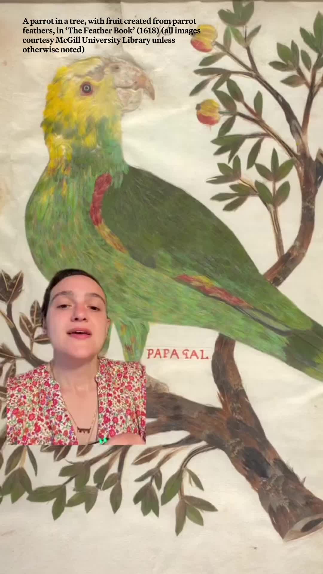@Hyperallergic
