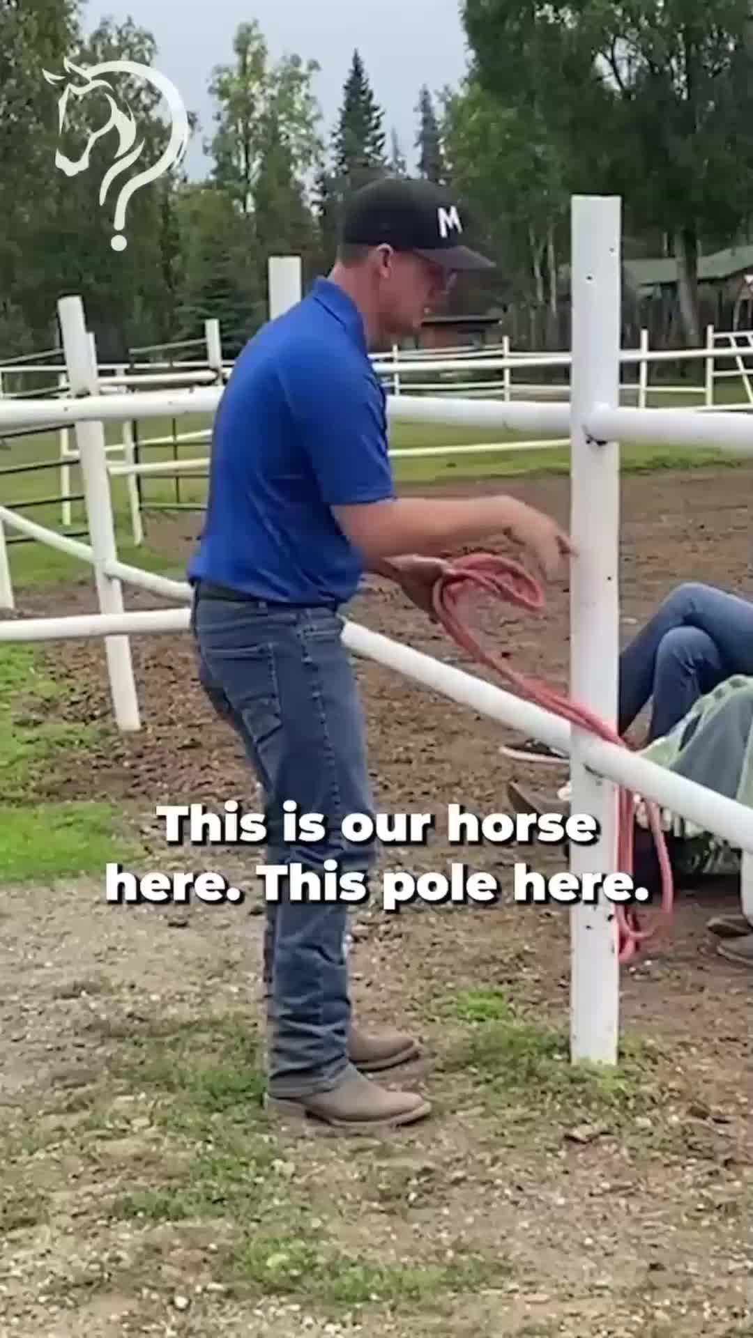@Horse Help