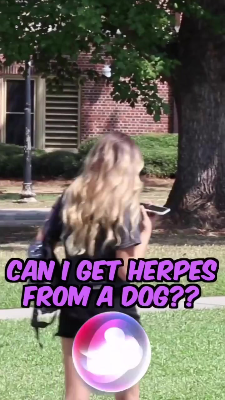@BigDawsTv