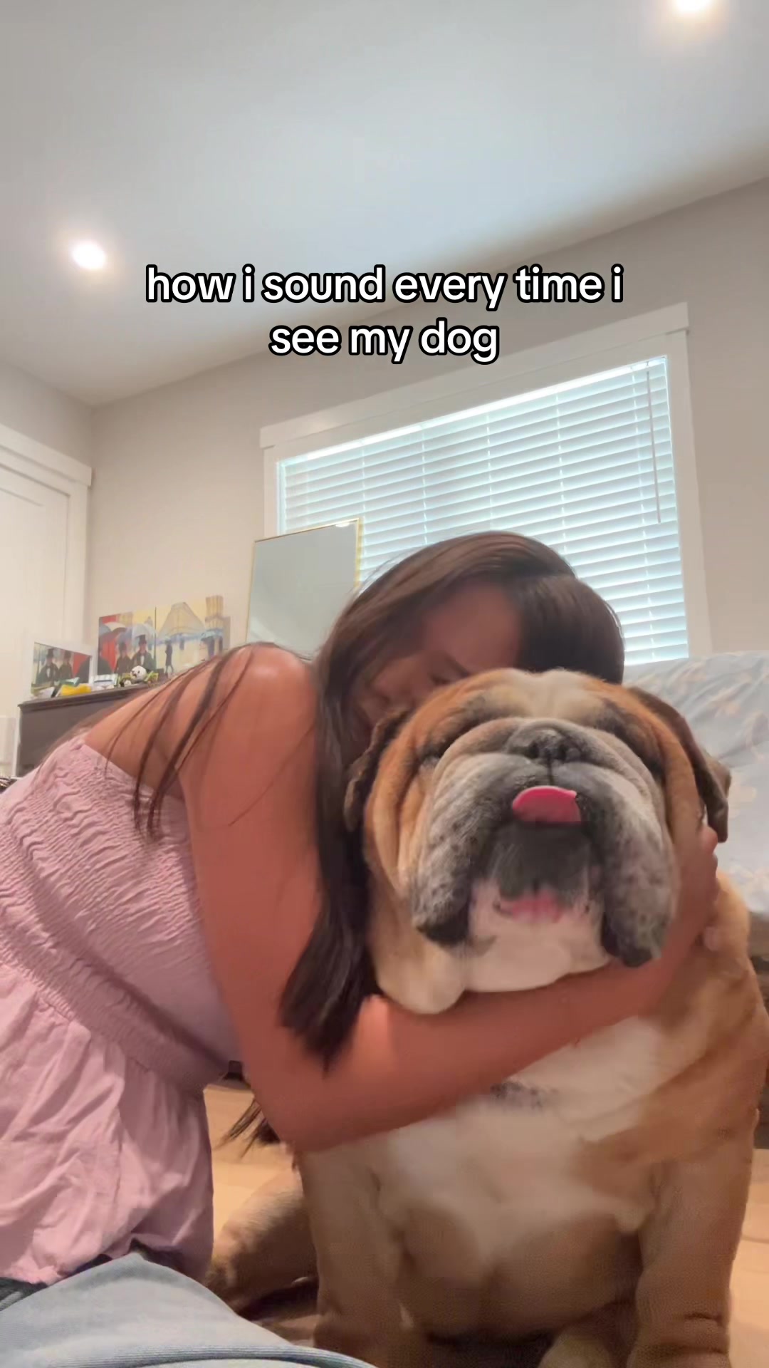 @Reggie the Bulldog