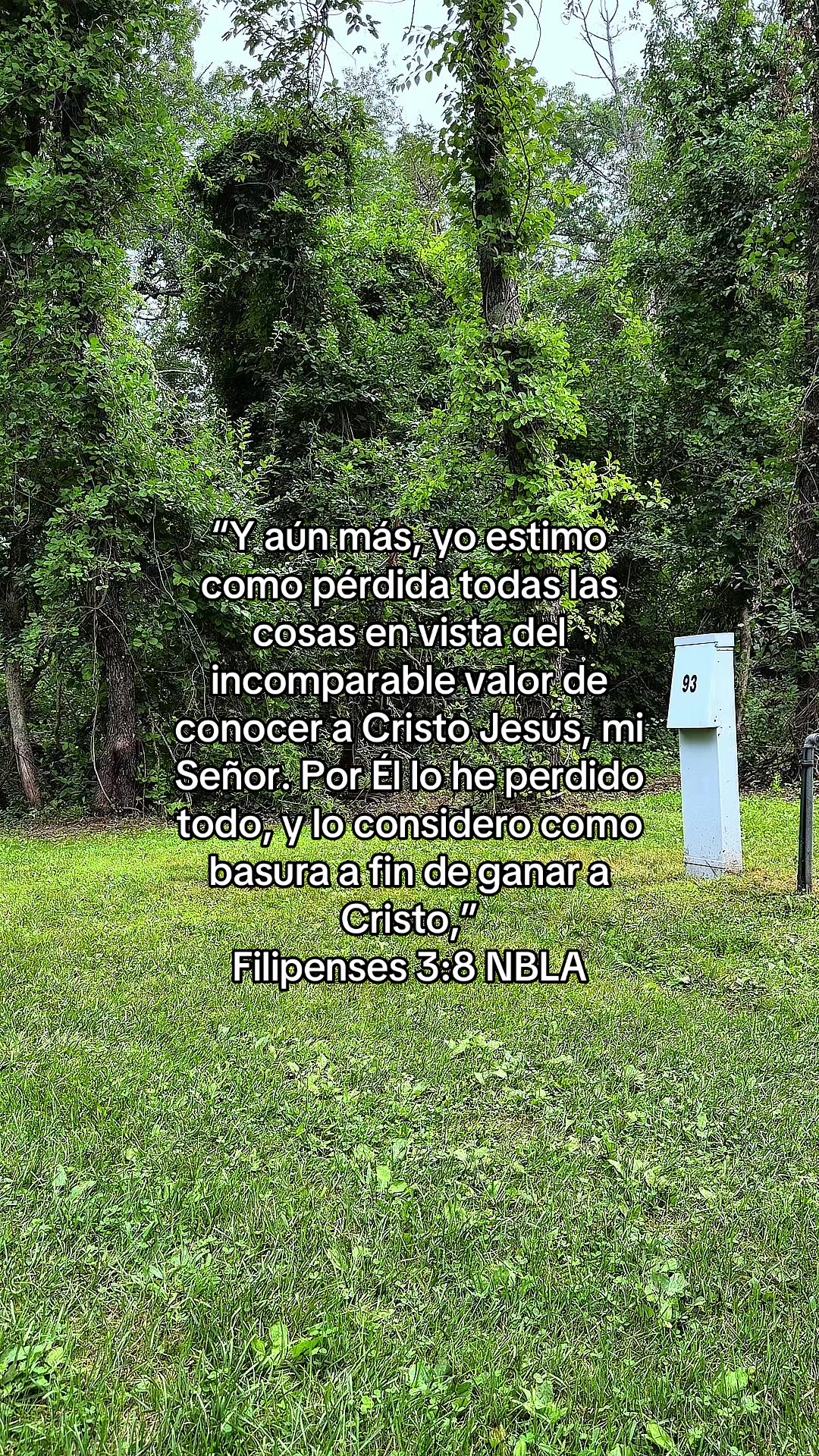 @JUAN F.