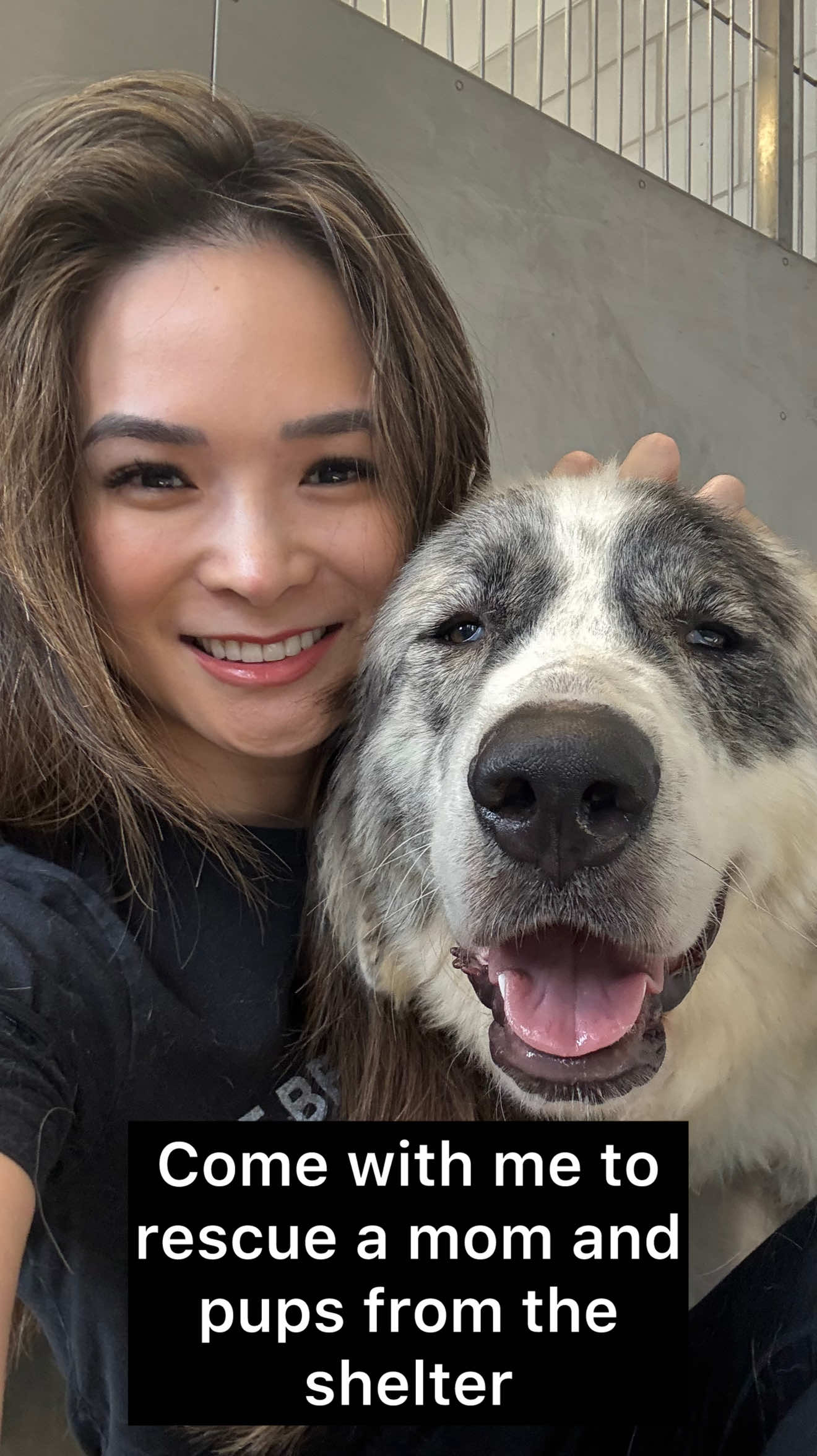 @whitneysdogs