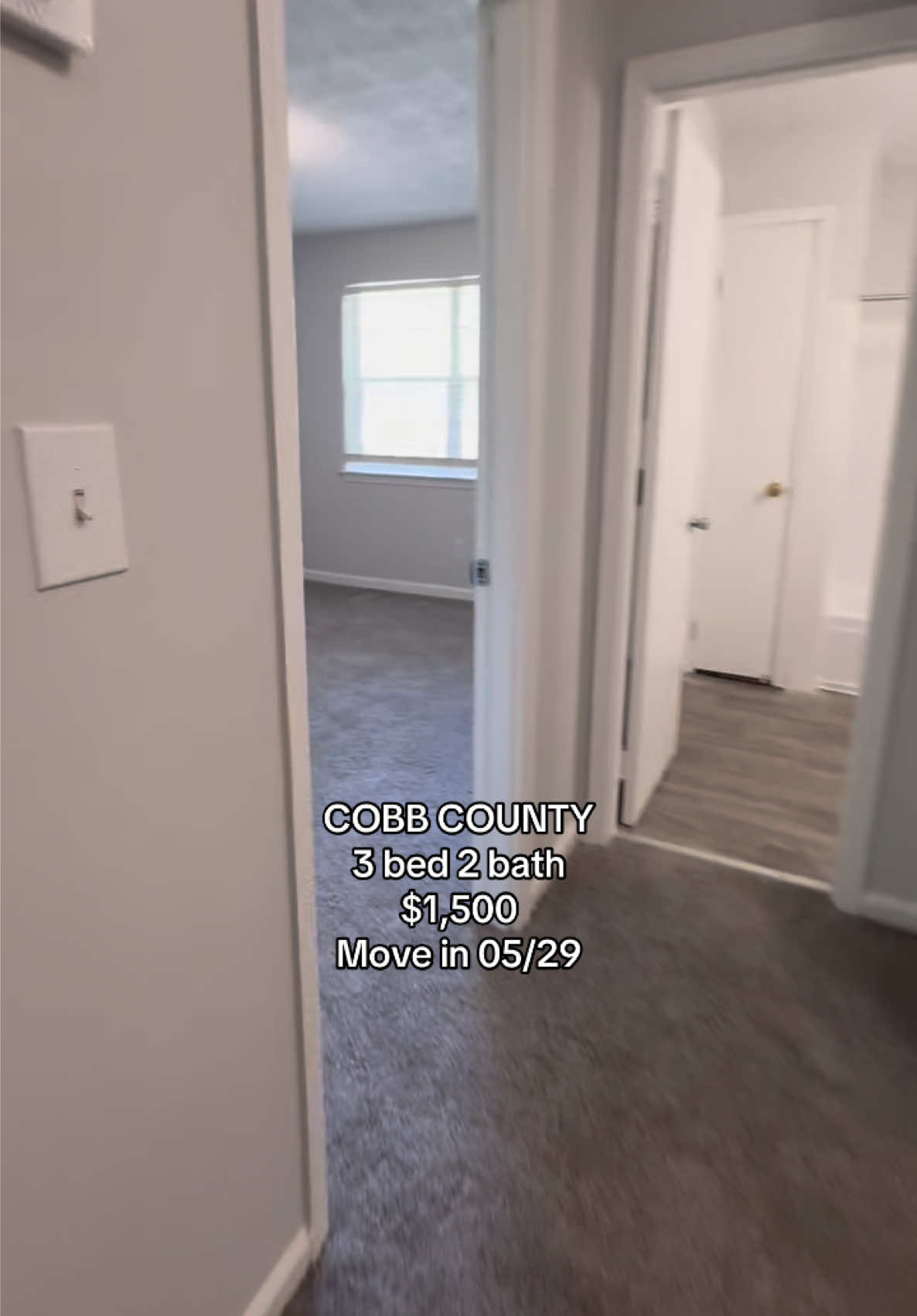 @dededailyvlogs