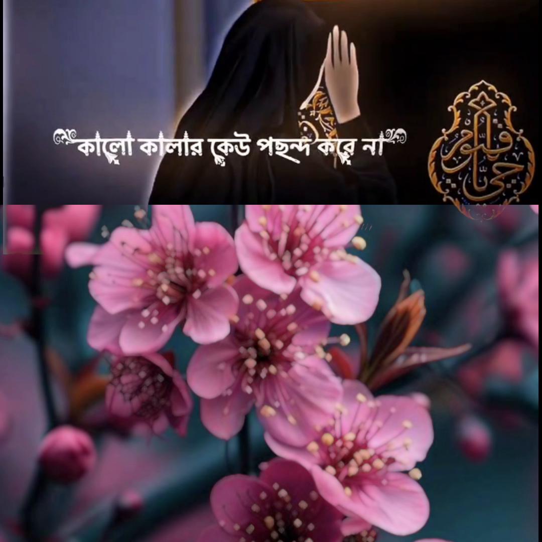 @Mukta Jahan
