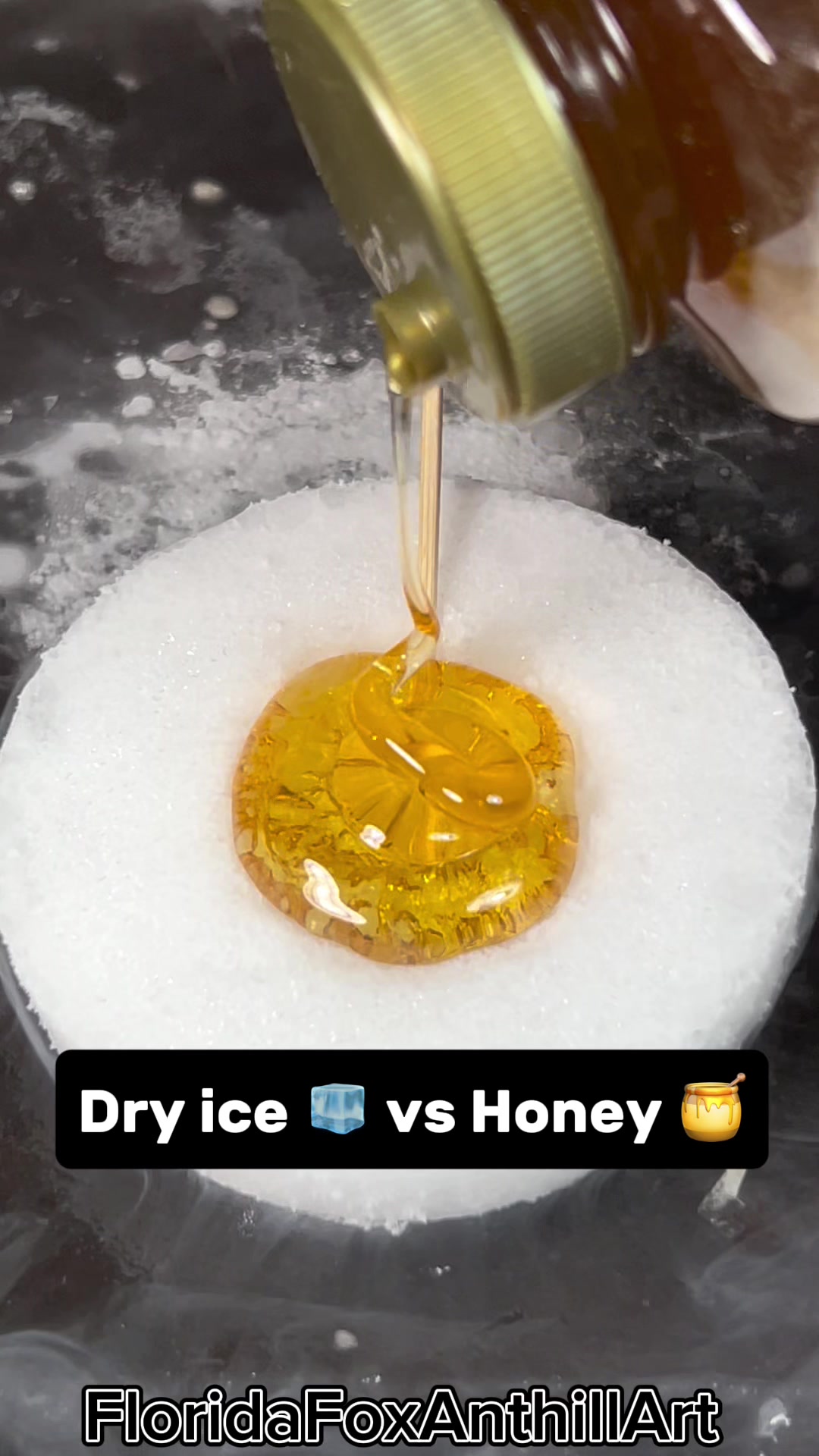 @FloridaFoxAnthillArt