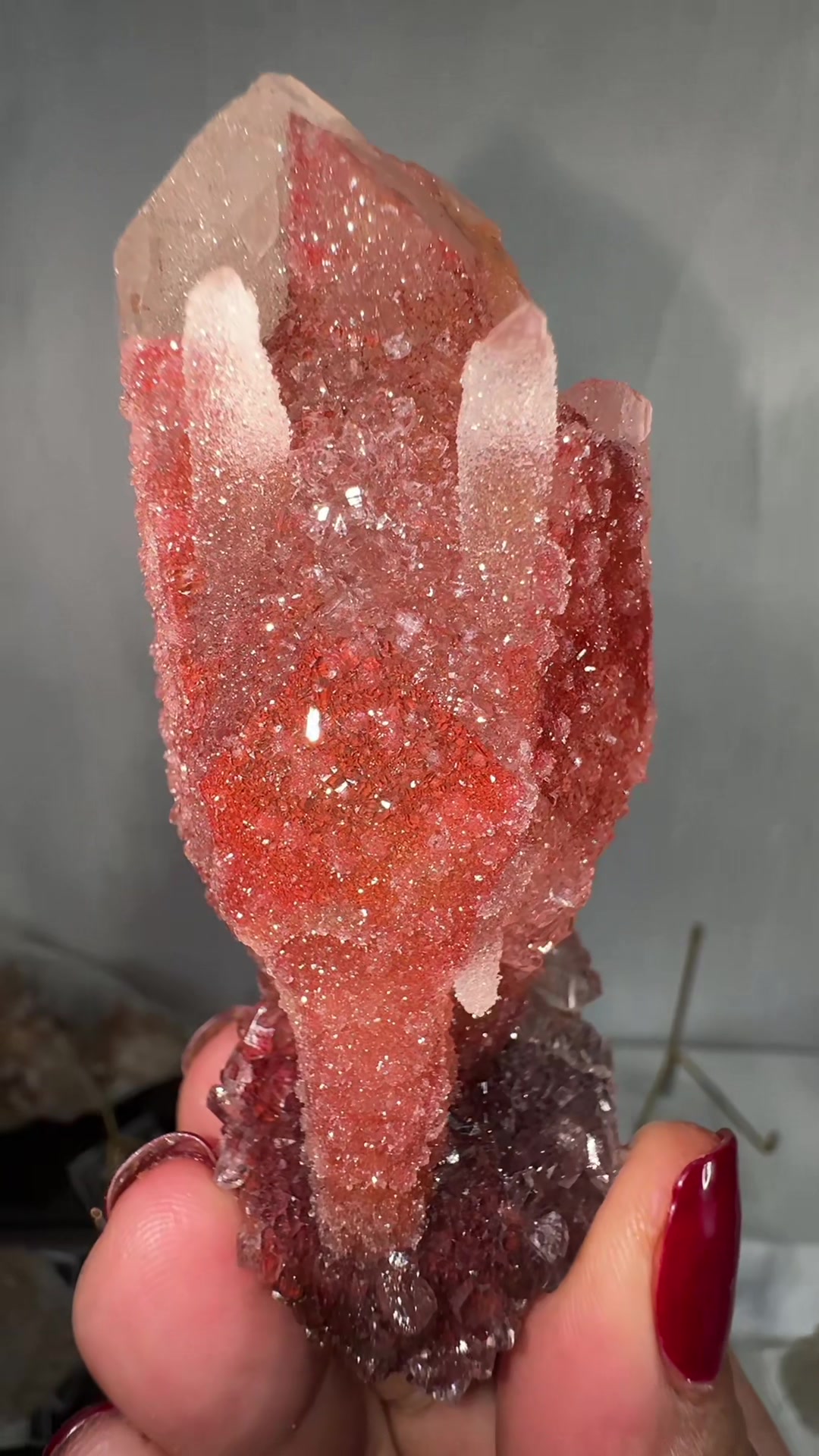 @Bella’s Crystal collection