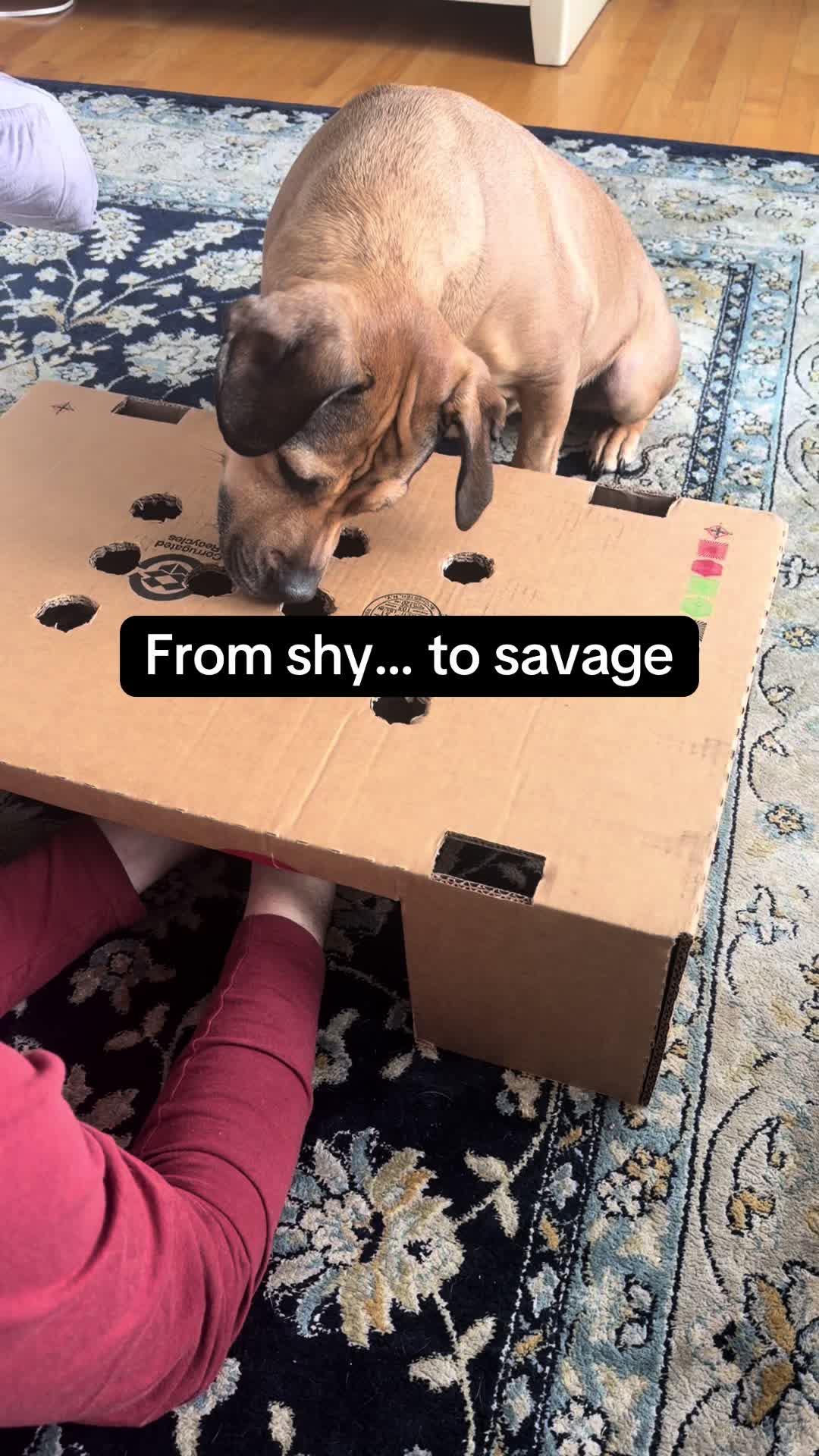 @HeyyyRizzo