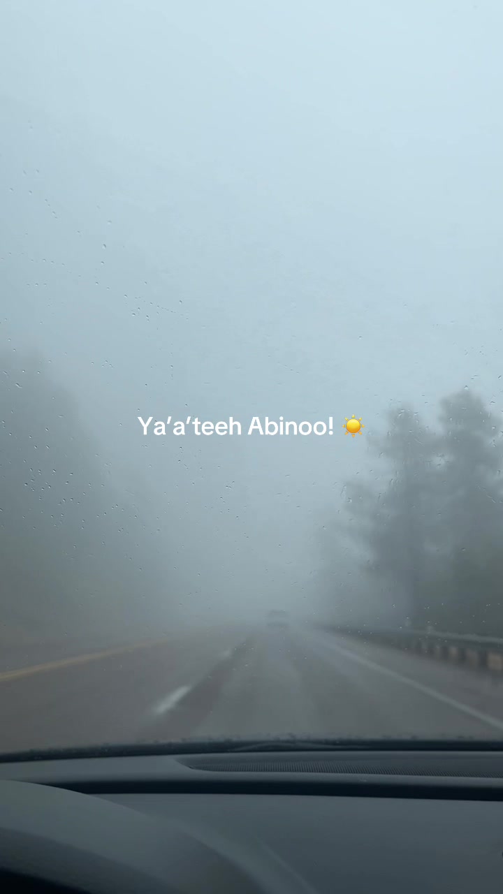 @S H E E โก๏ธ L A
