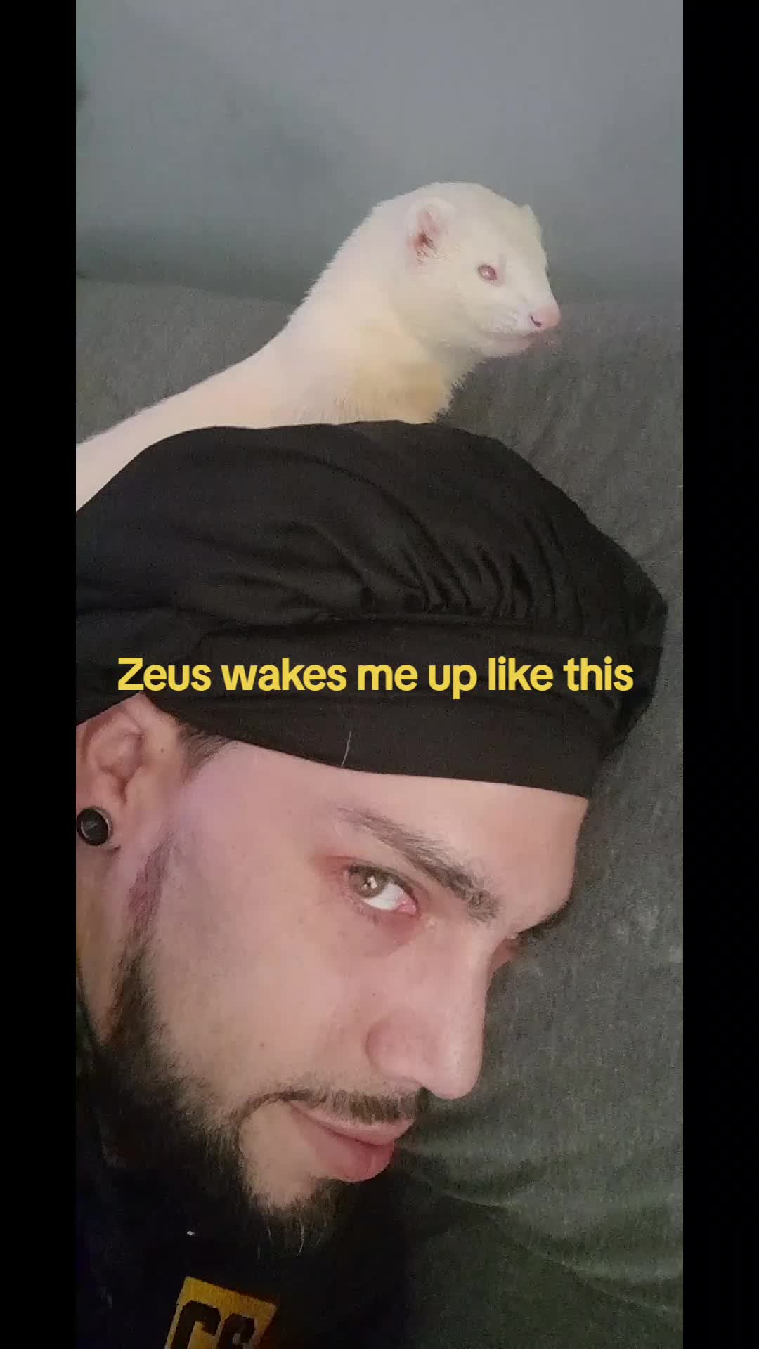 @Ďřɛªđĥɛªđ⁴²⁰