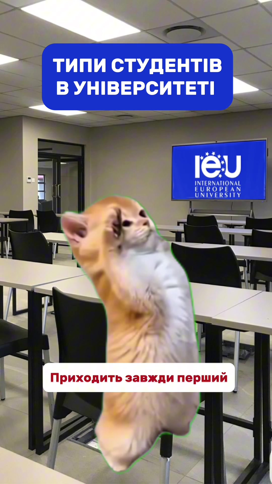 @ieuuniversityy