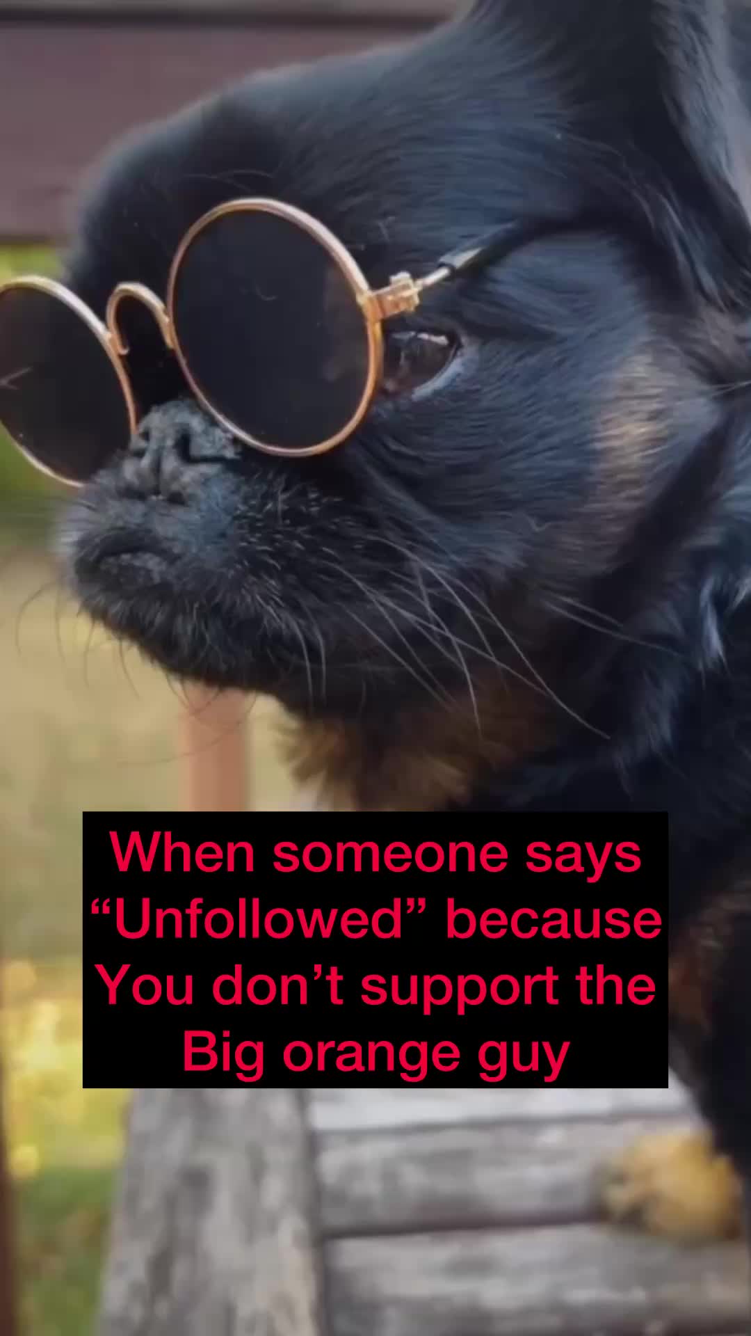@Chicoandhisbanditos