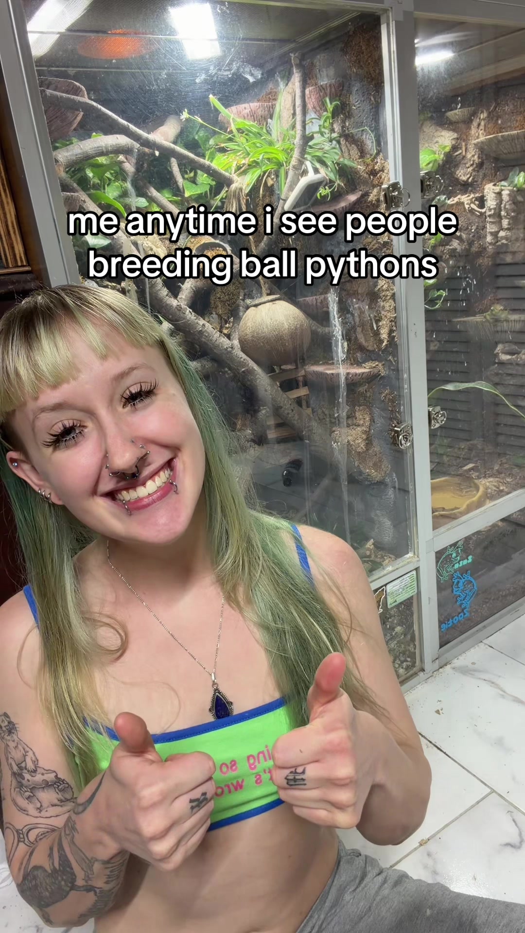 @layla🦎🍃