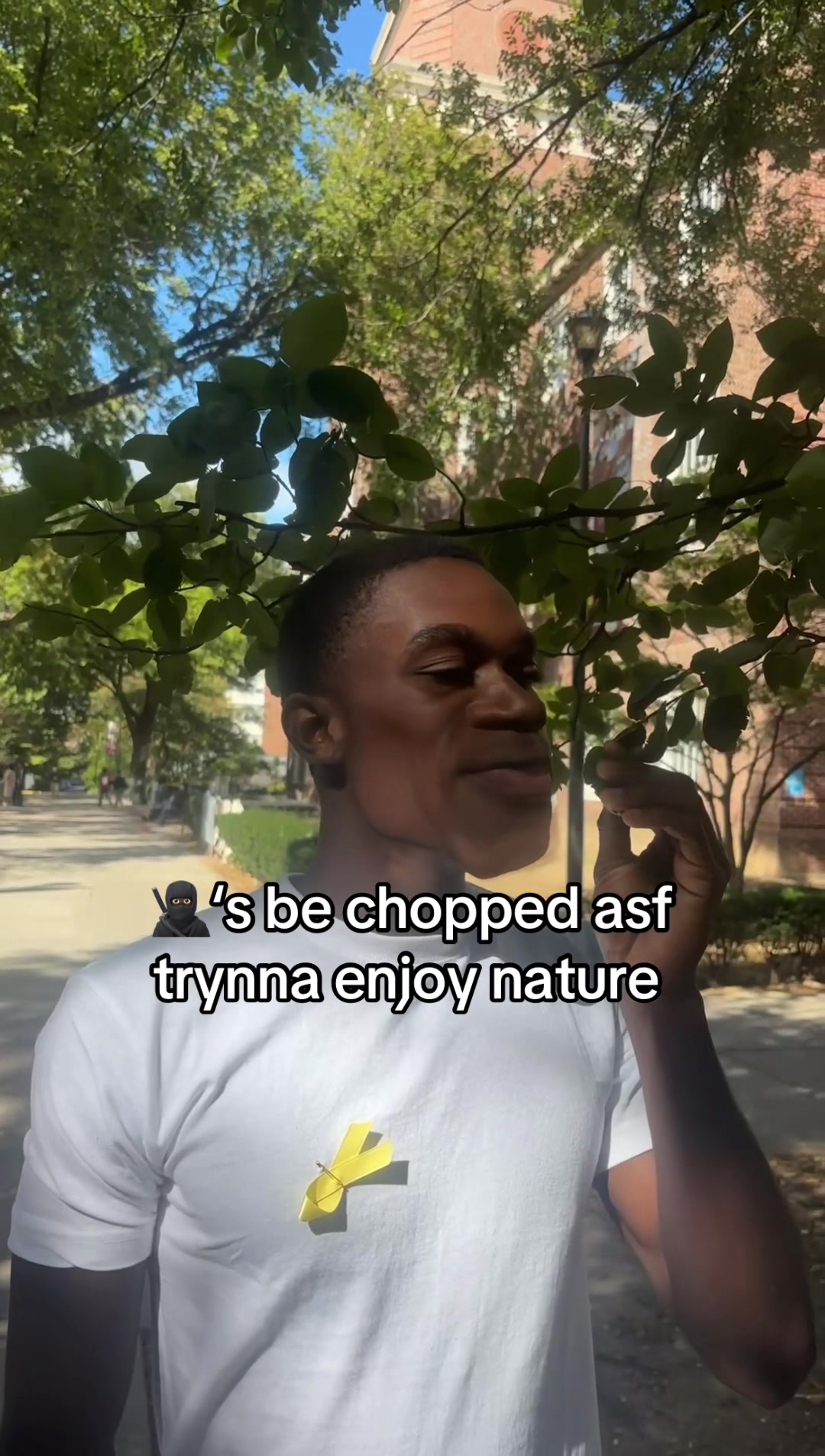 @hoop.vlixzy