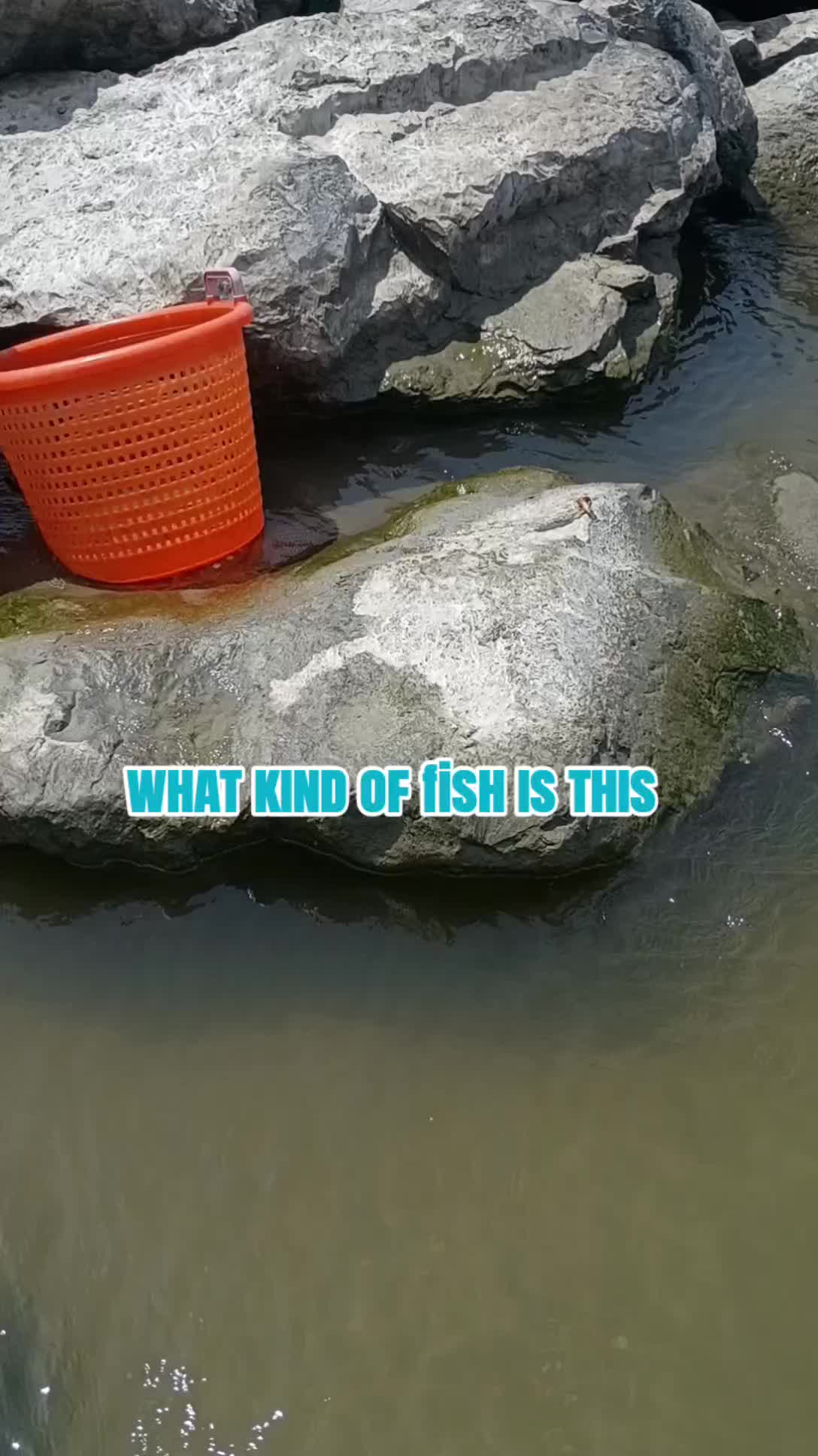 @SALTWATER SAB OUTDOORS