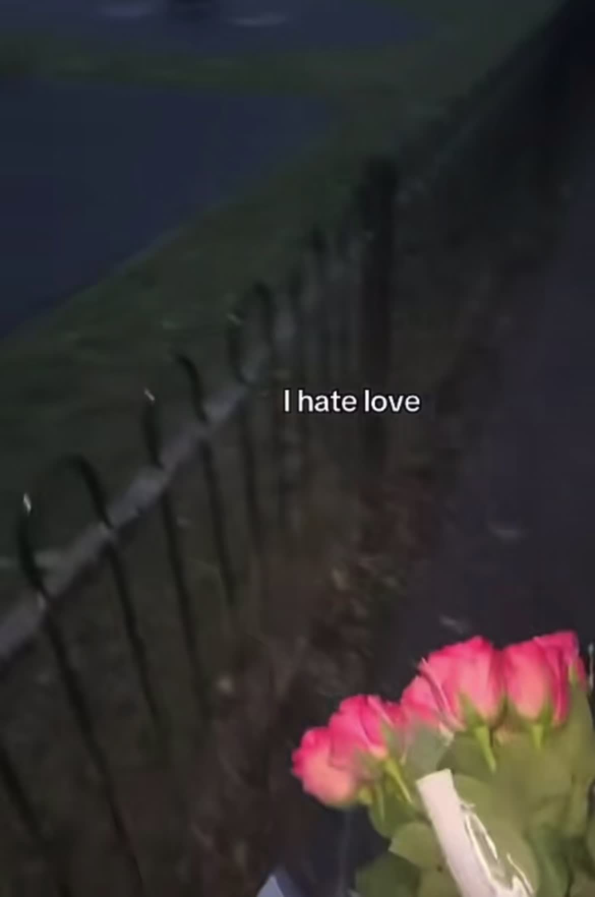 @🌗🌷