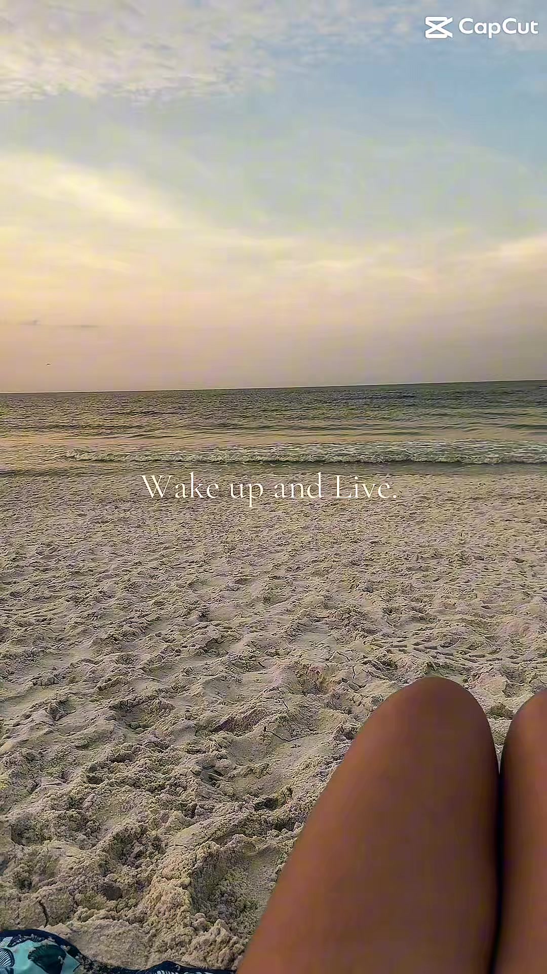 @Itsmaceysview✨