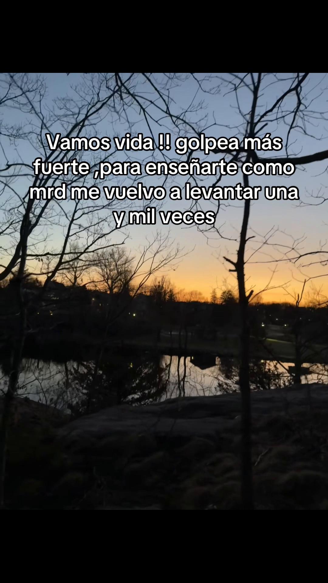 @Johan ☘️