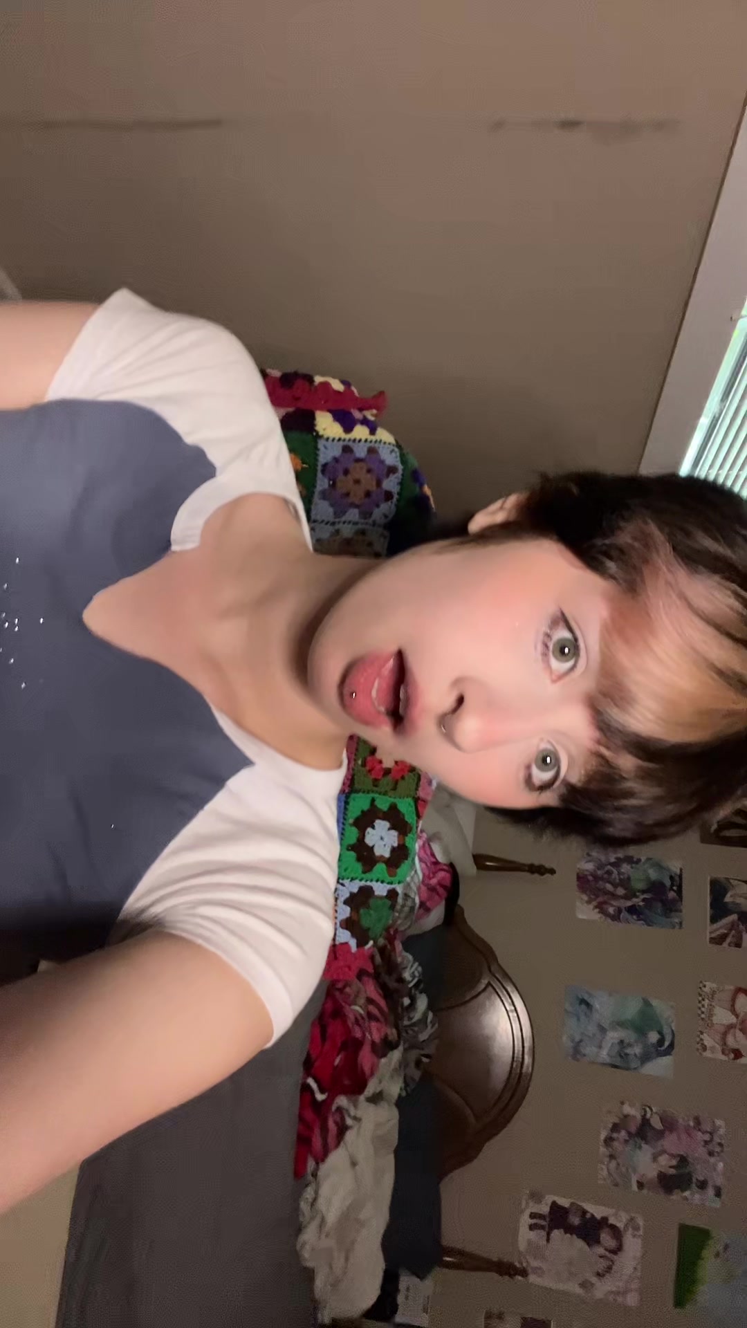 @shinbo_butterfly