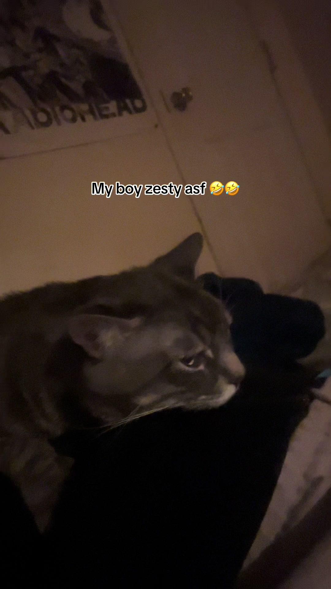 @BABYSTUD_