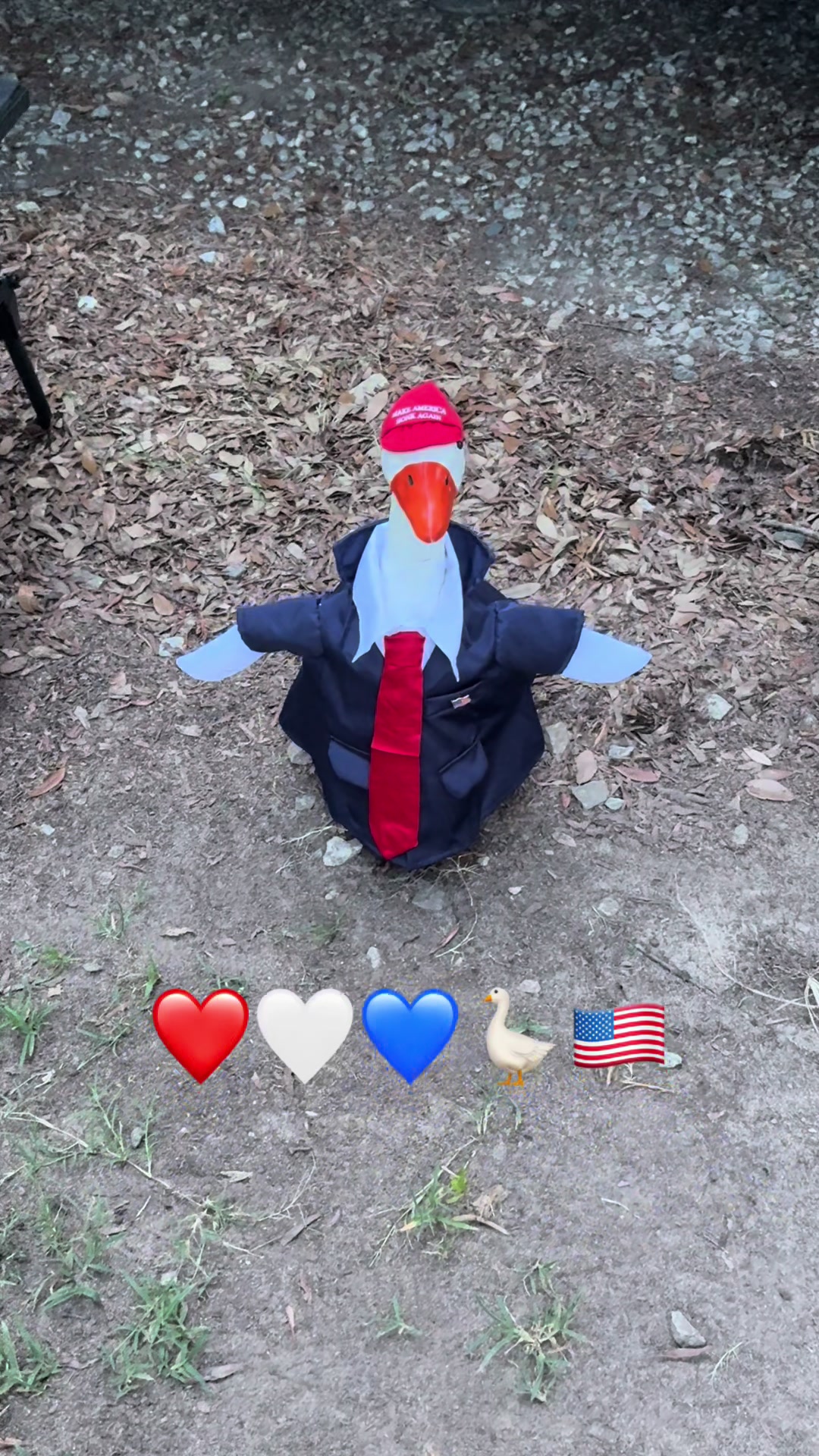 @thecoobsfamily