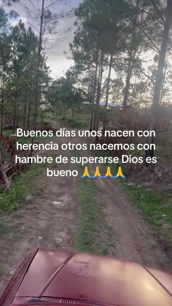 @Sin nombre 👶🦁🫶🌕🫡🐼💙📚